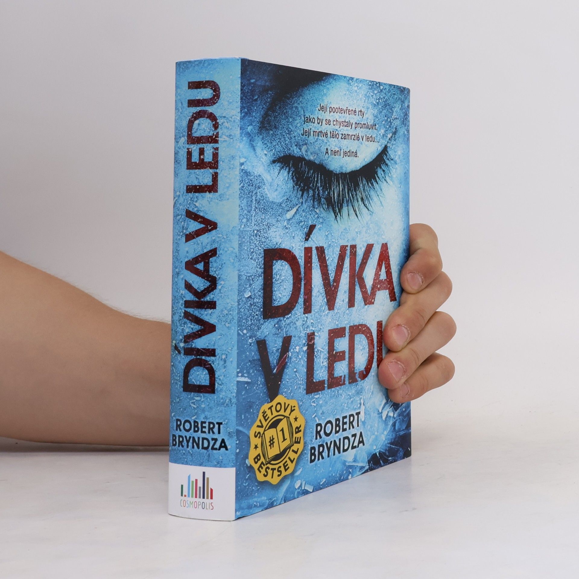 Robert Bryndza Dívka v ledu