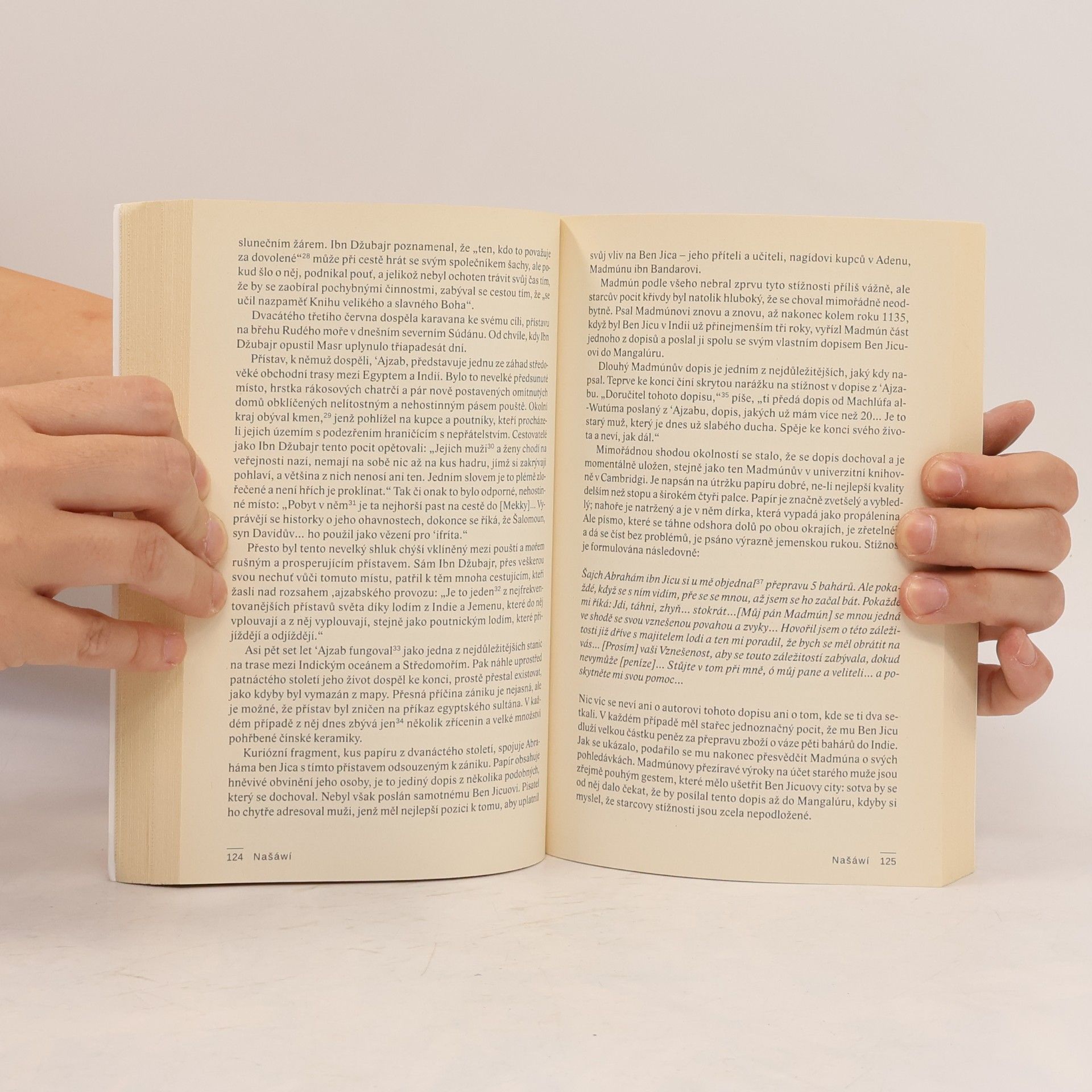 Amitav Ghosh Ve starobylé zemi