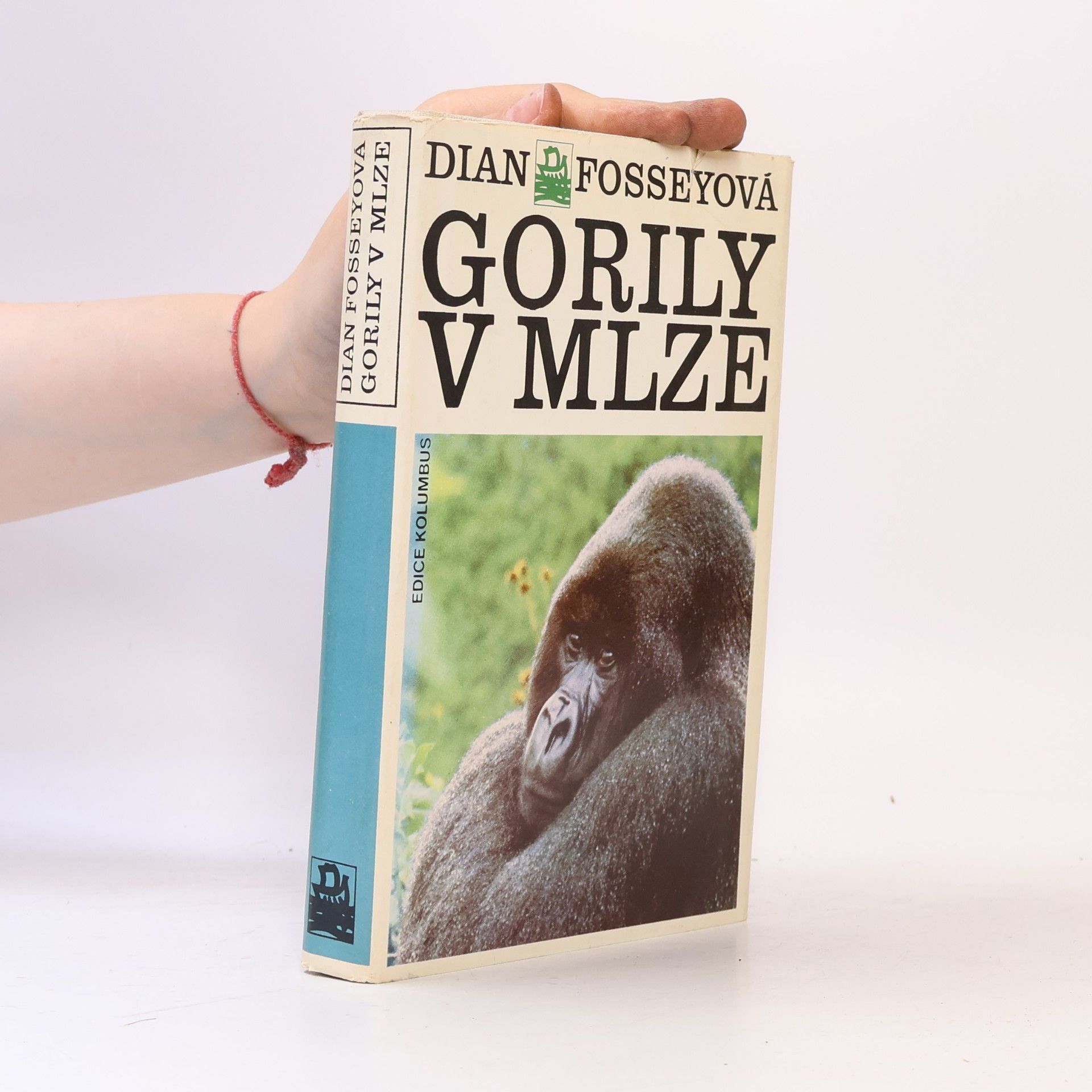 Dian Fossey Gorily v mlze