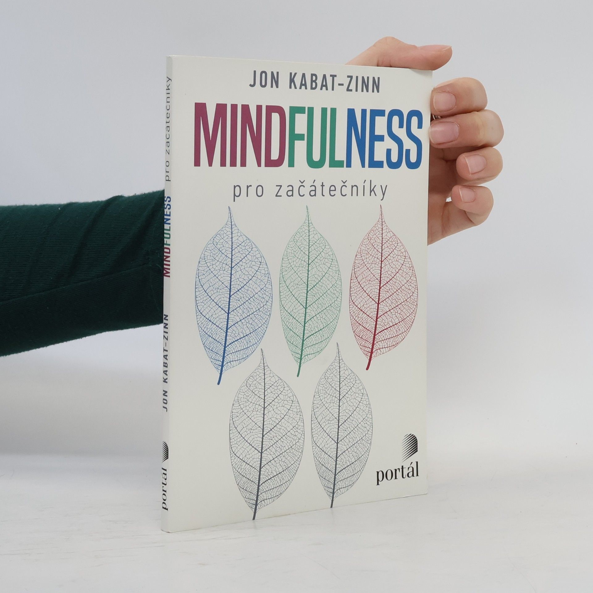 Ondřej Fafejta Mindfulness pro začátečníky