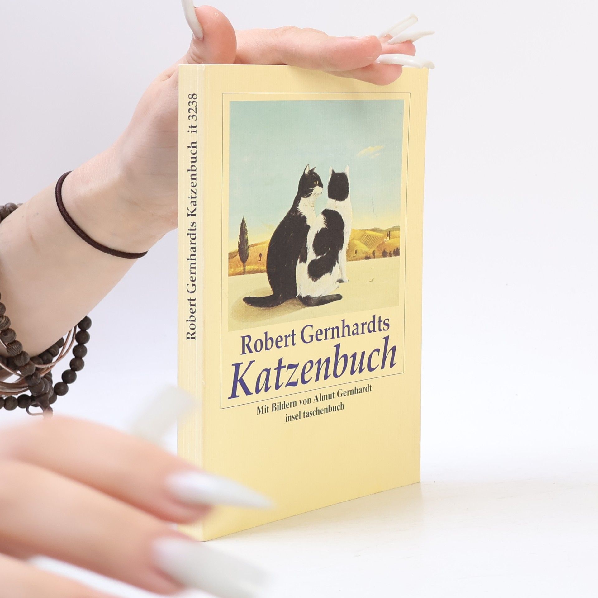 Robert Gernhardt Robert Gernhardts Katzenbuch