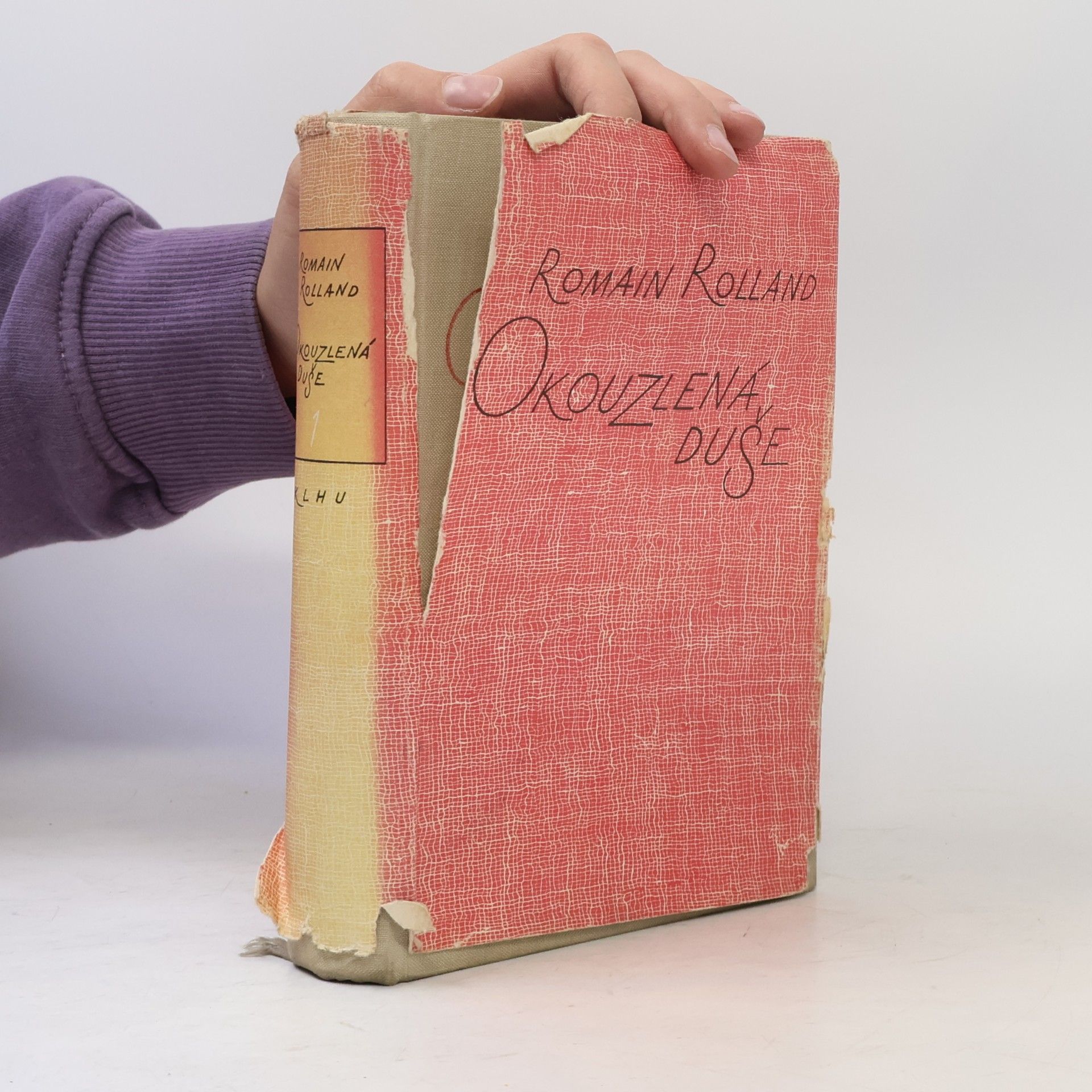 Romain Rolland Okouzlená duše I.