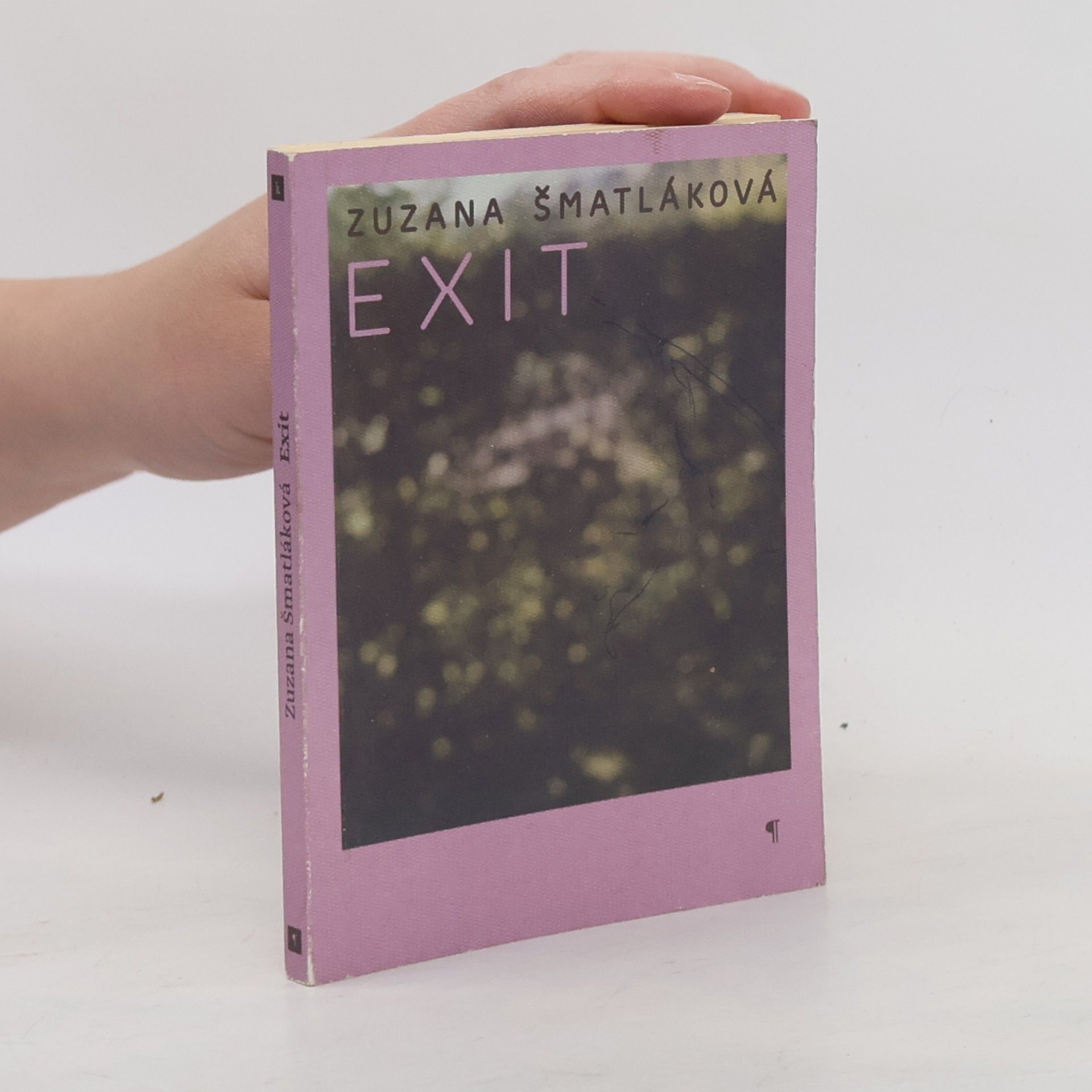 Zuzana Šmatláková Exit