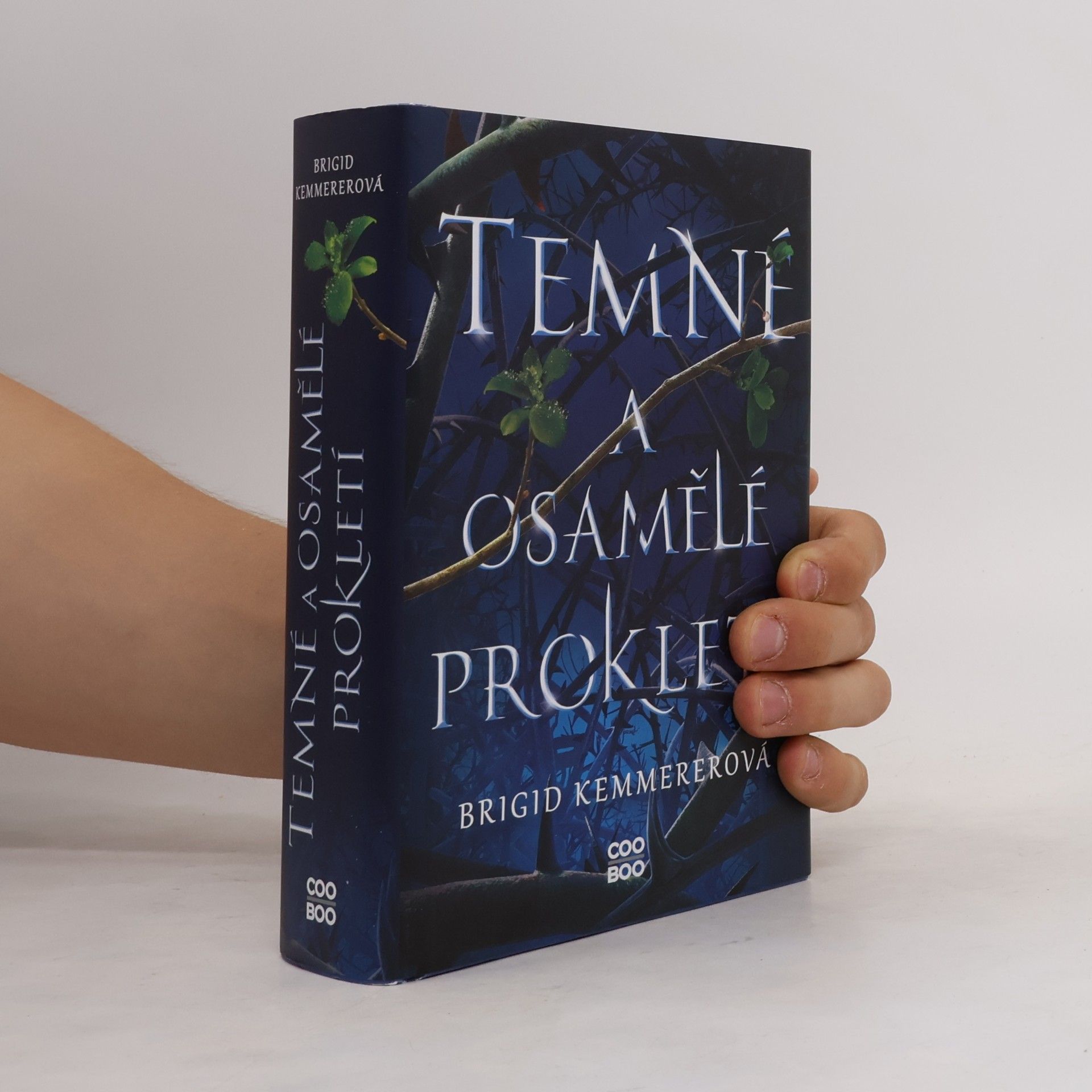 Brigid Kemmerer Temné a osamělé prokletí