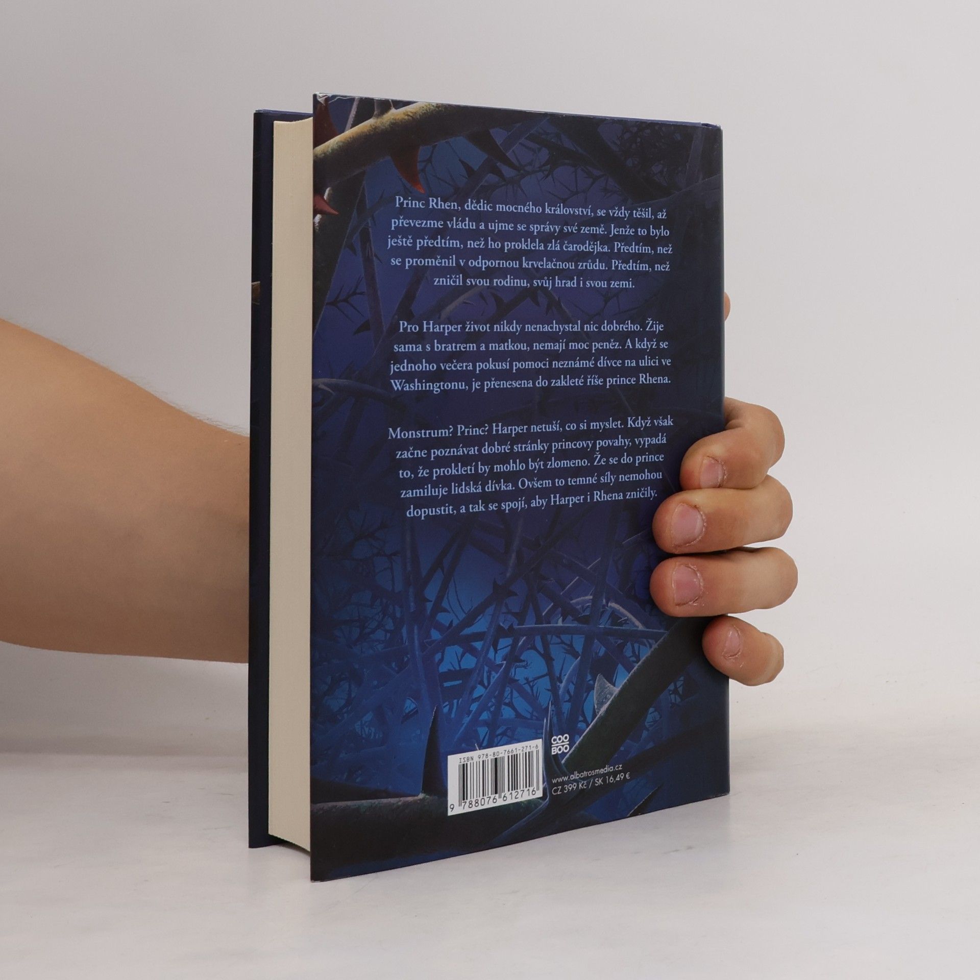 Brigid Kemmerer Temné a osamělé prokletí