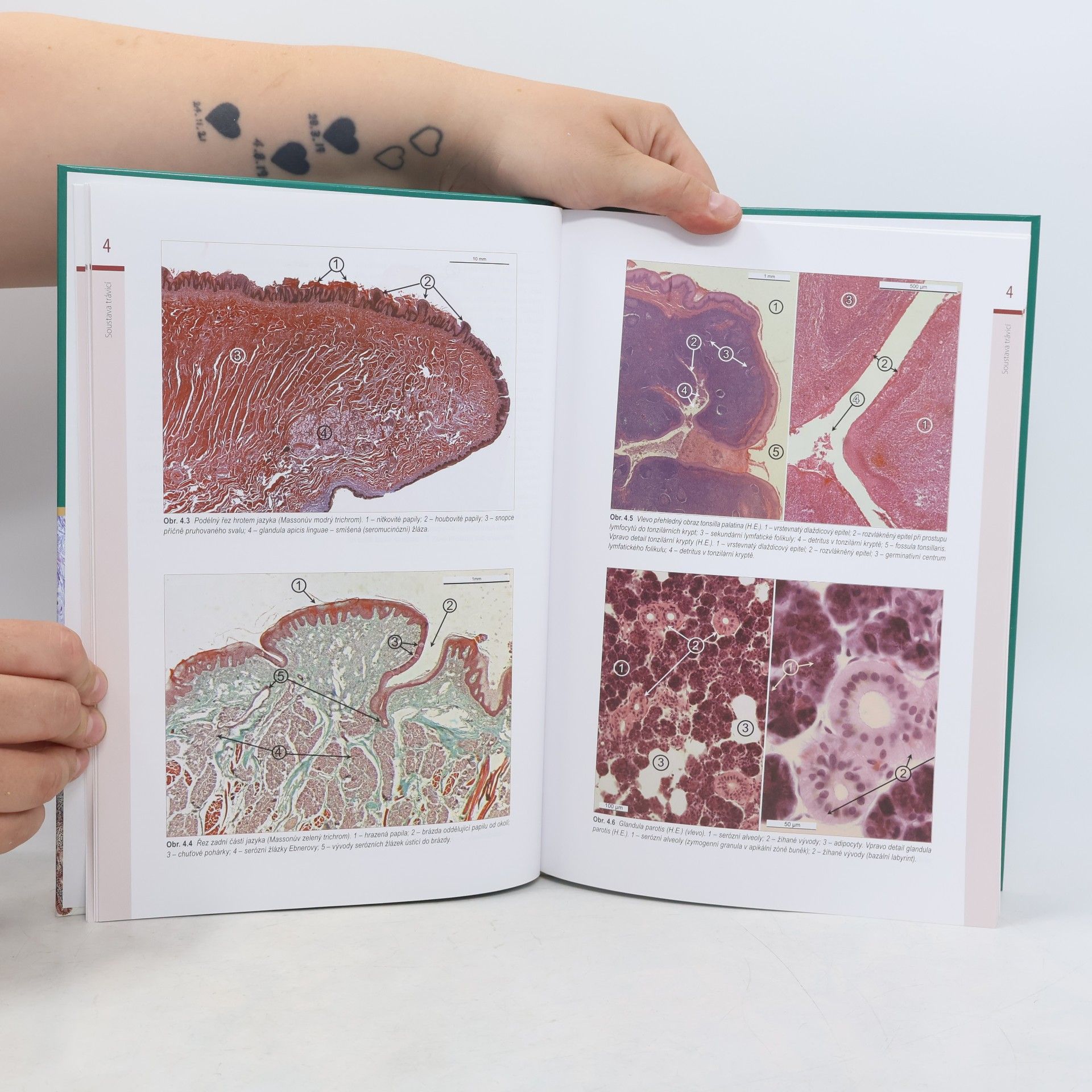 Jindřich Martínek Histologický atlas