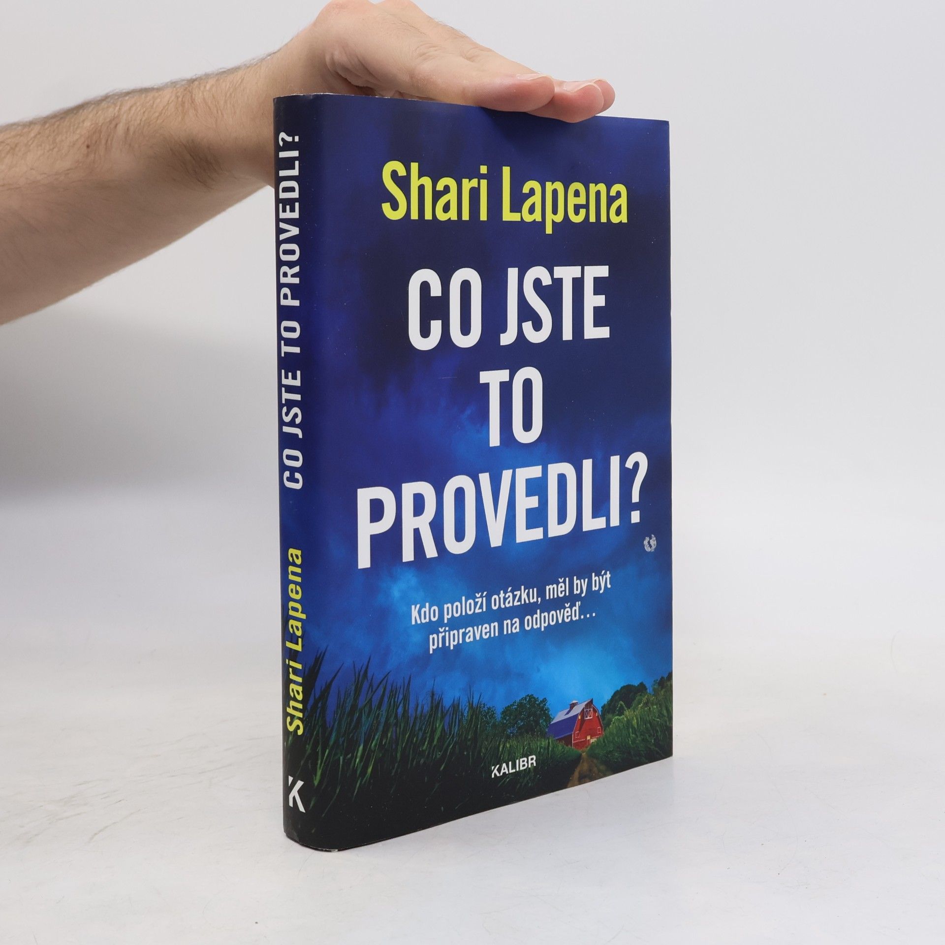 Shari Lapena Co jste to provedli?