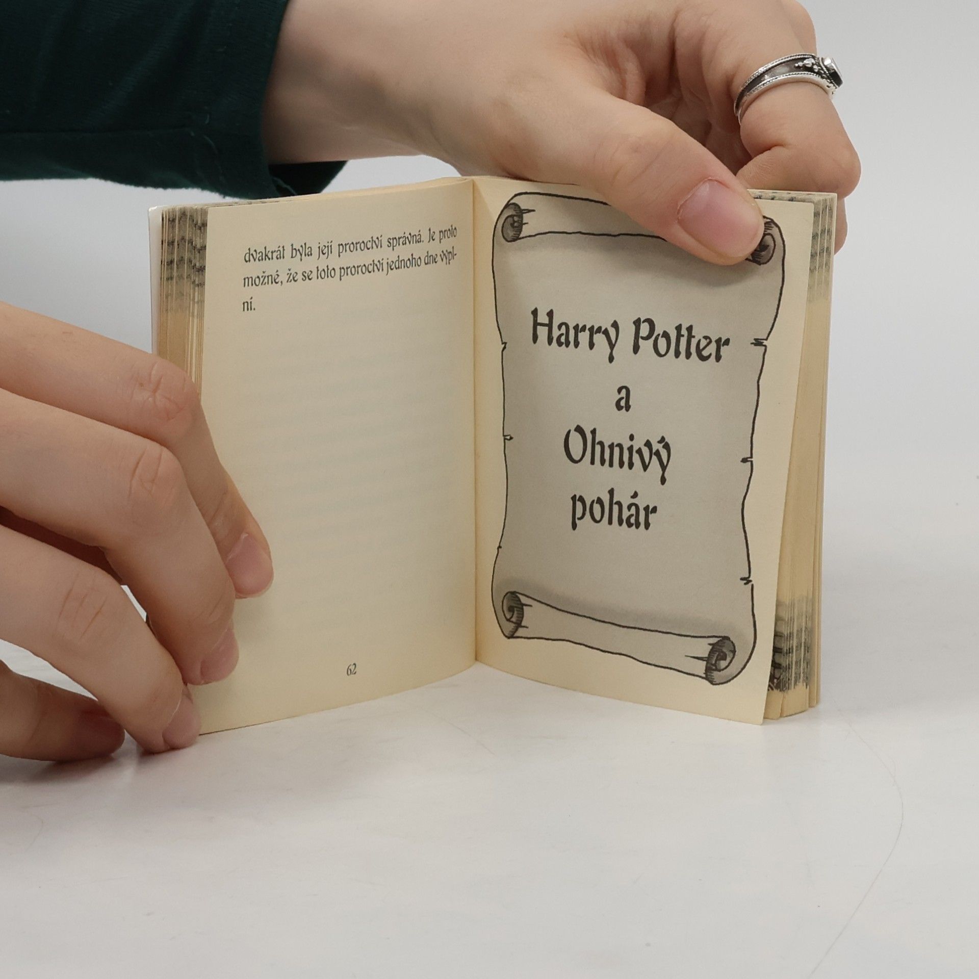 Ellie Down Neoficiální průvodce Harry Potterem