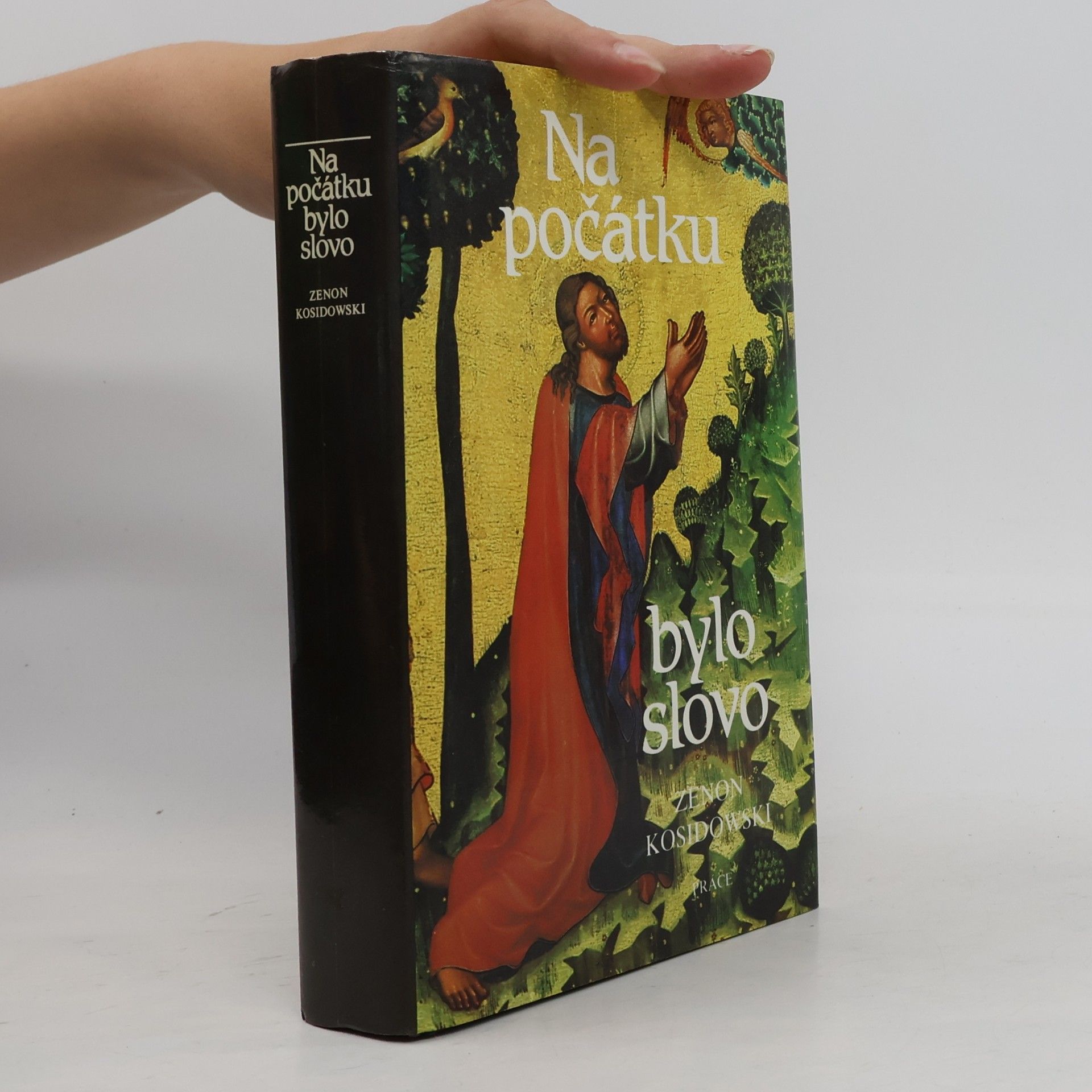 Zenon Kosidowski Na počátku bylo slovo