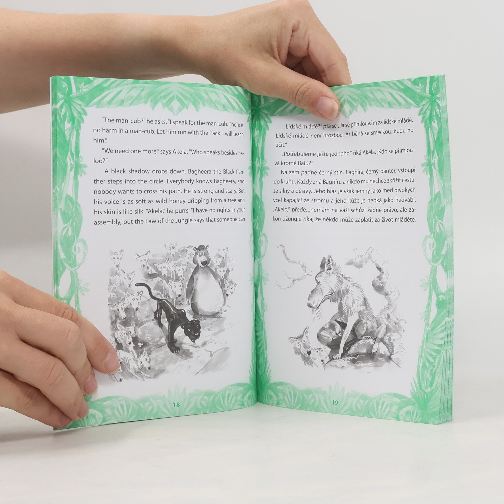 Dana Olšovská Mauglí : Mowgli's story