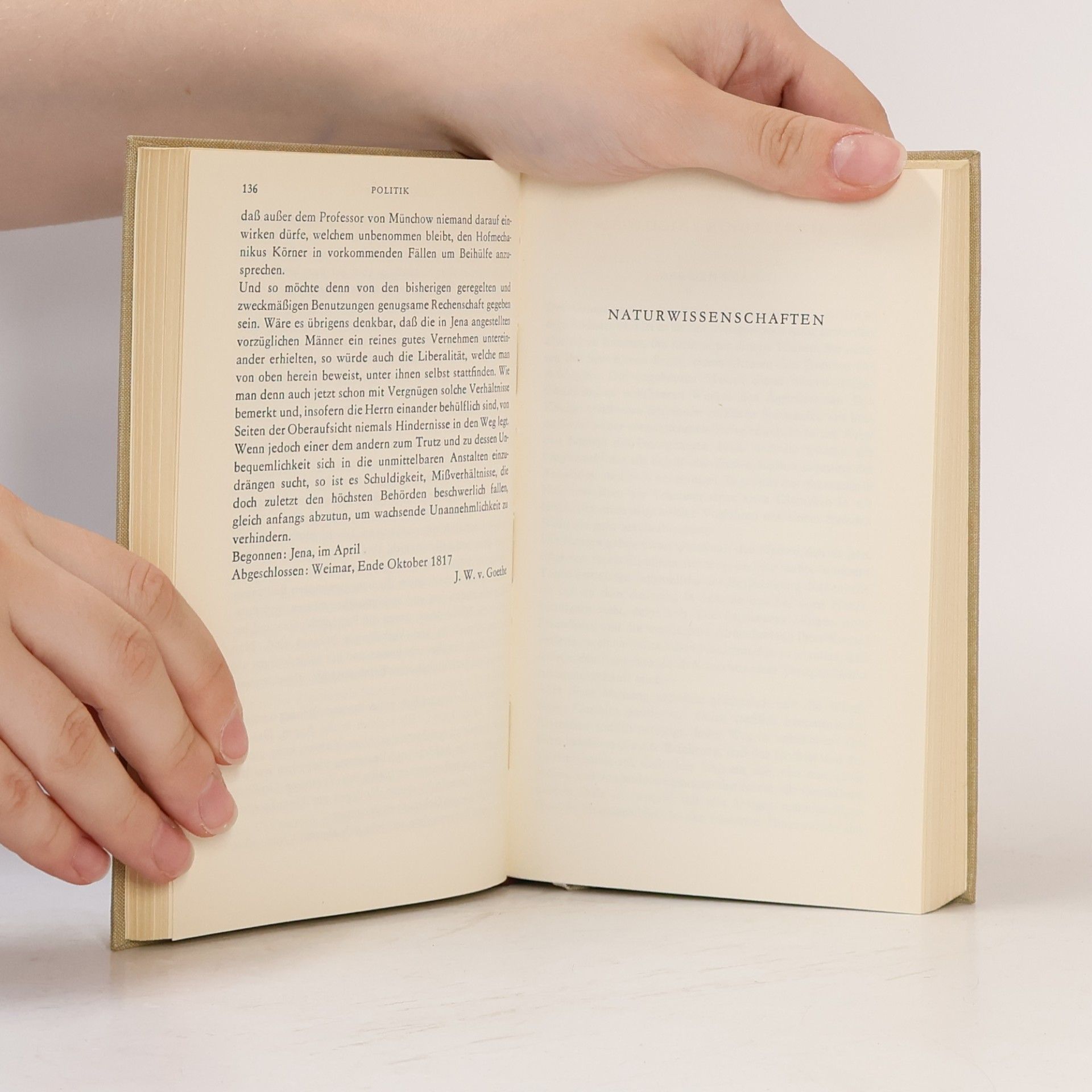 Johann Wolfgang von Goethe Goethe 12