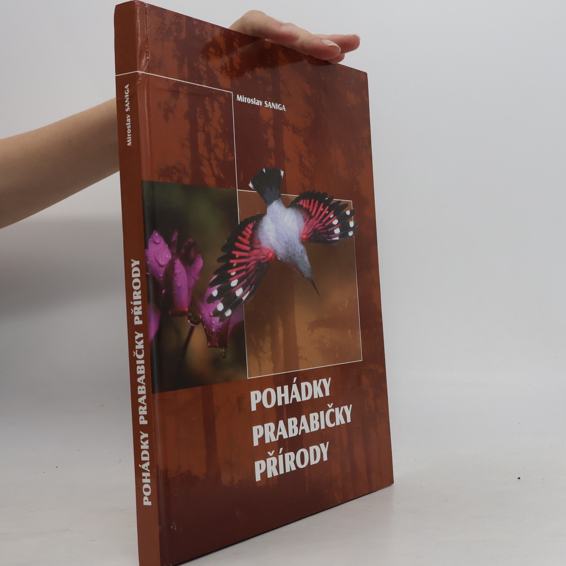 Miroslav Saniga Pohádky prababičky přírody