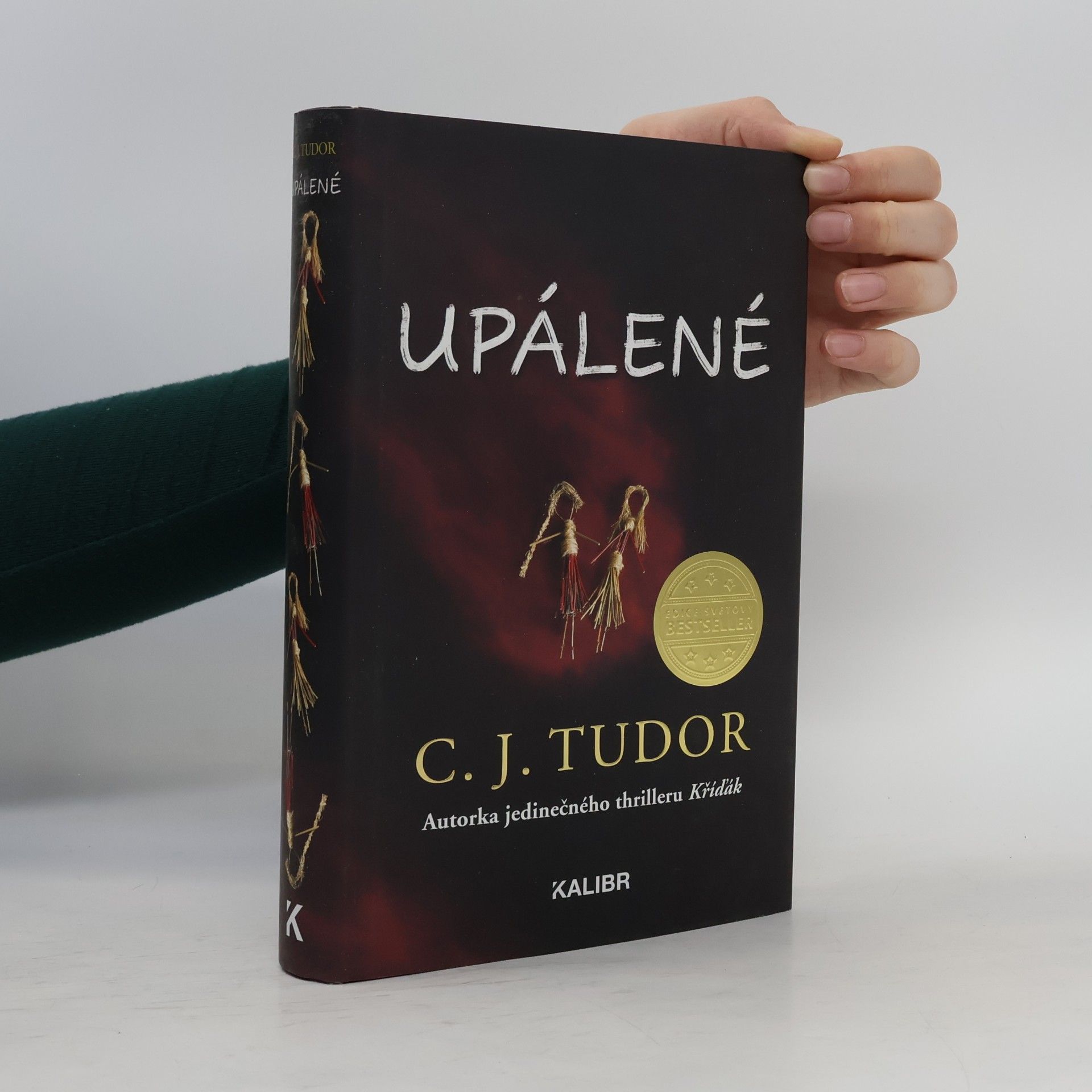 C. J. Tudor Upálené