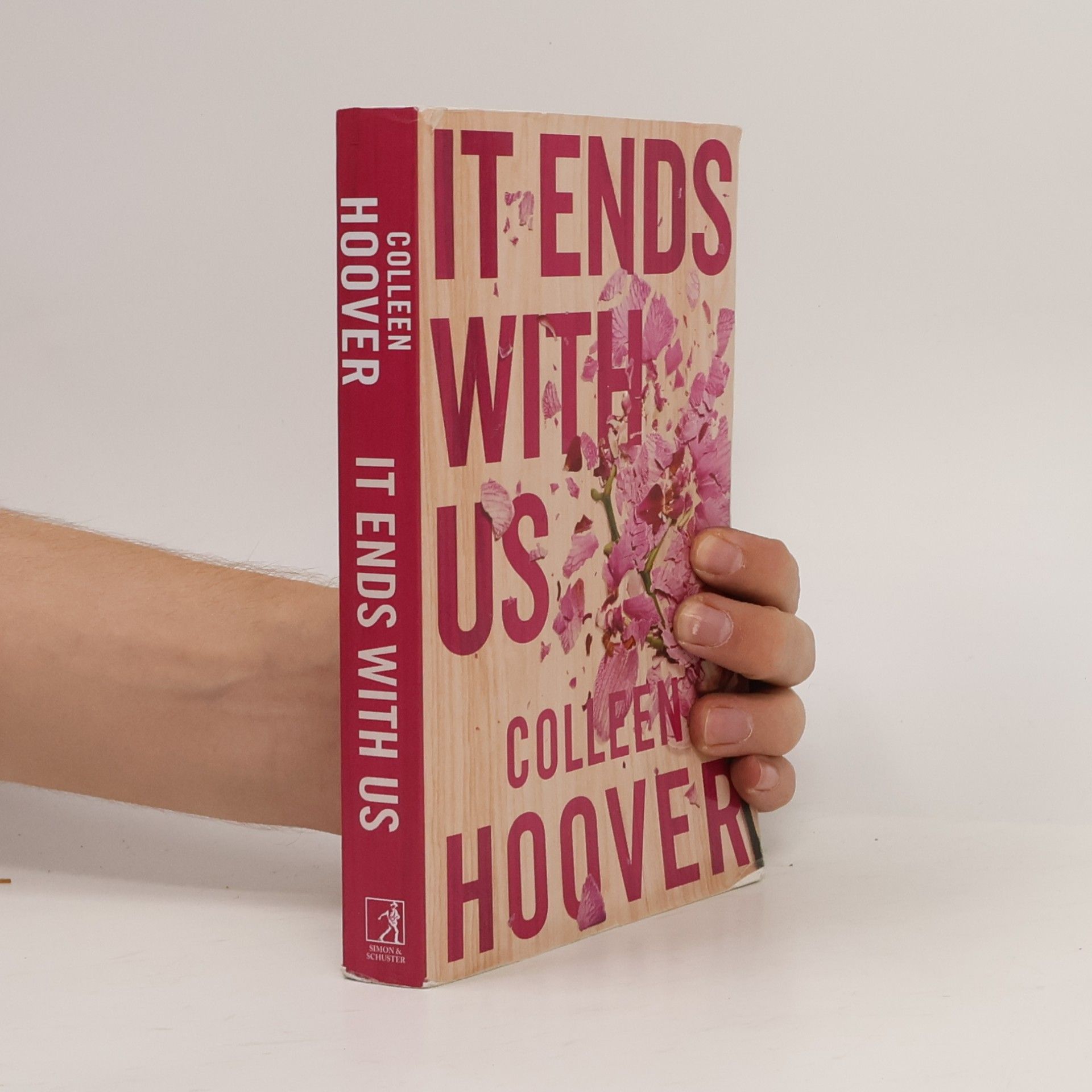 Colleen Hoover It Ends With Us