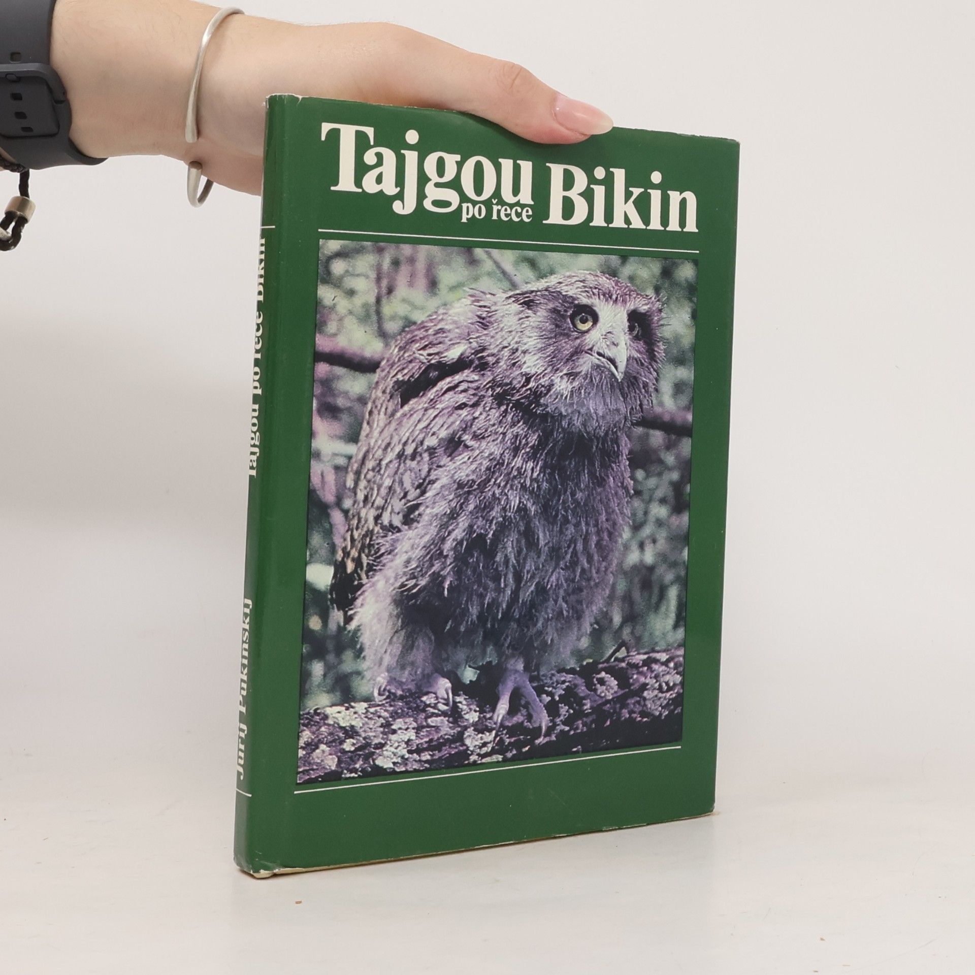 Tajgou po řece Bikin