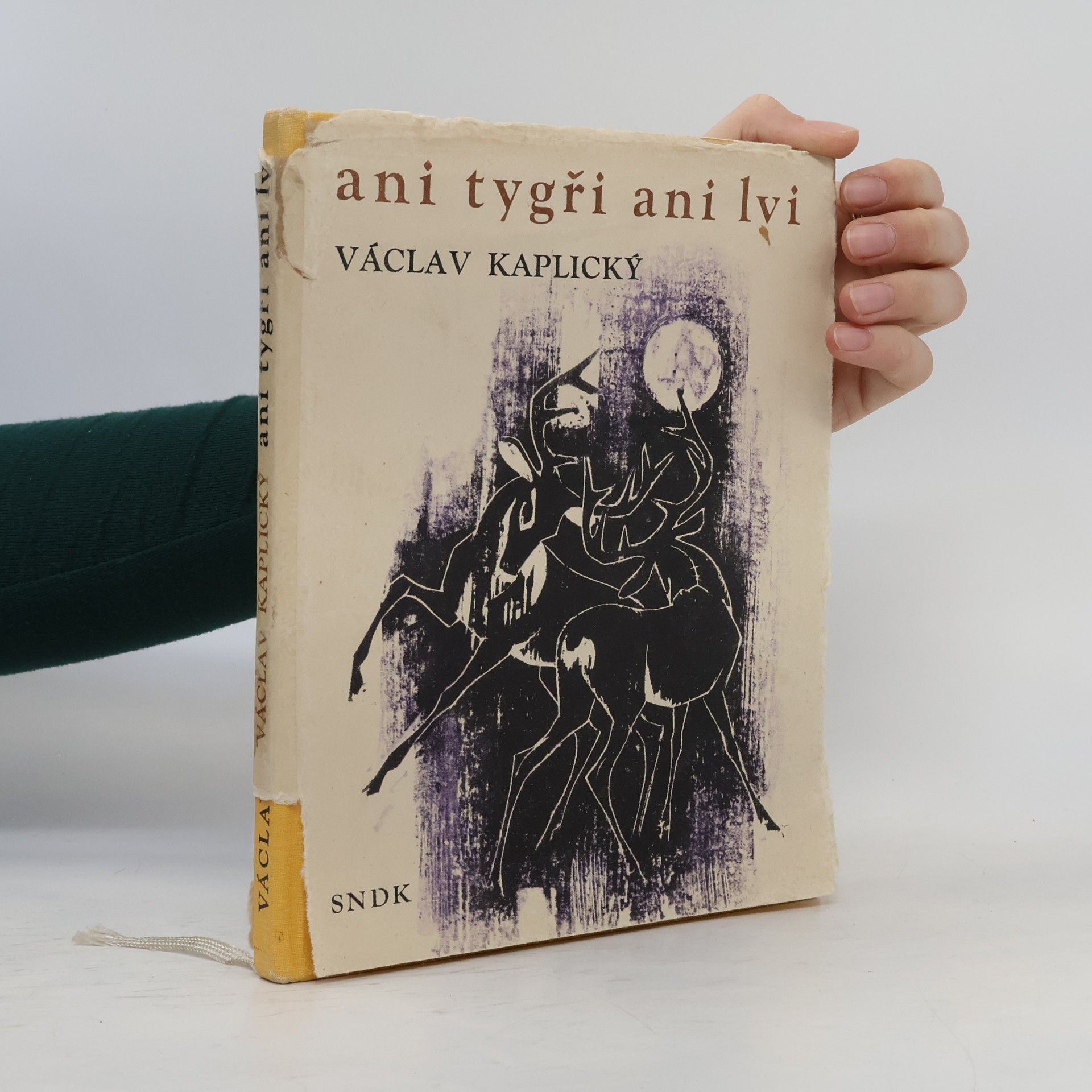 Ani tygři ani lvi