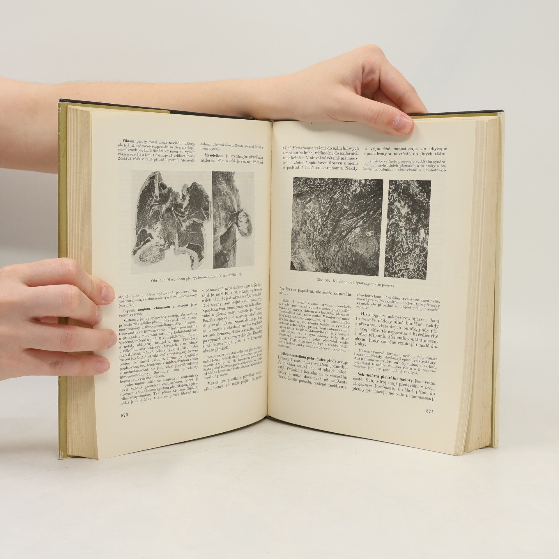 Blahoslav Bednář Patologická anatomie II/1