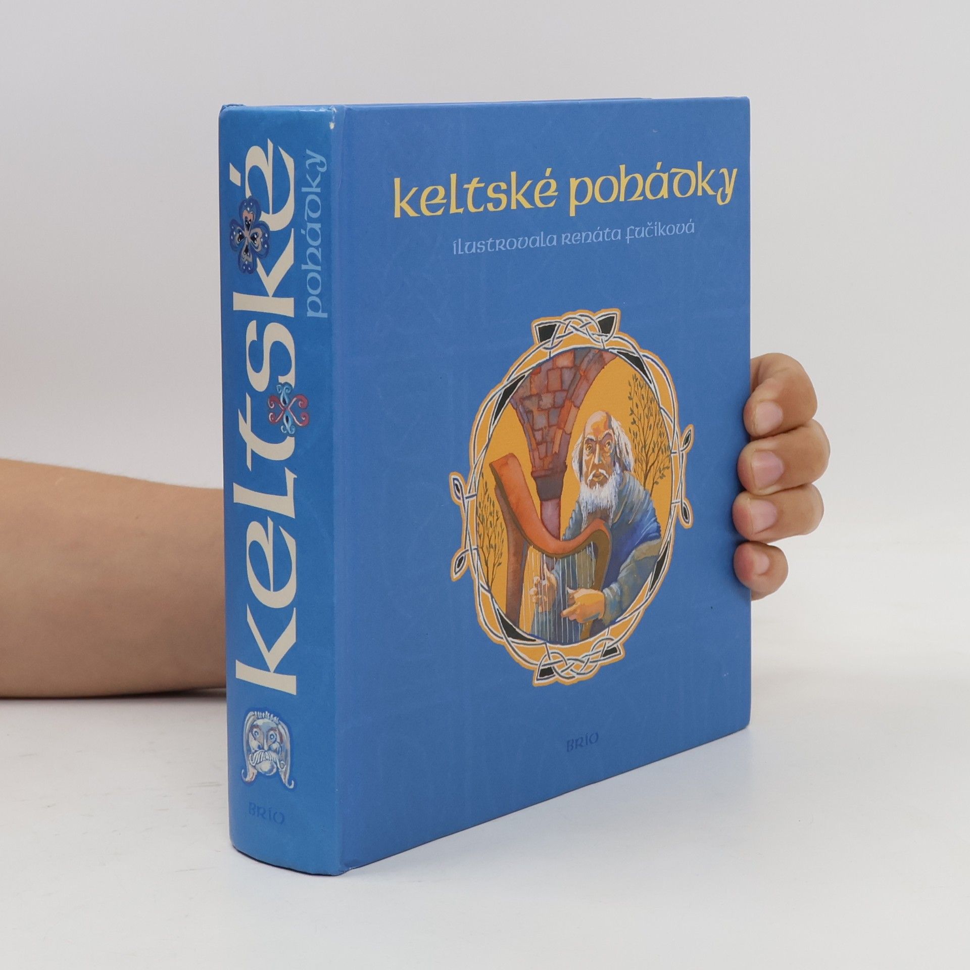 Renáta Fučíková Keltské pohádky : [z francouzských literárních zdrojů]