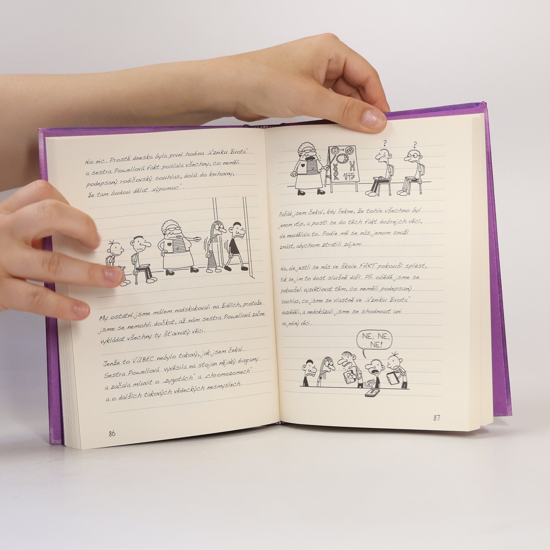 Jeff Kinney Deník malého poseroutky 5. Ošklivá pravda