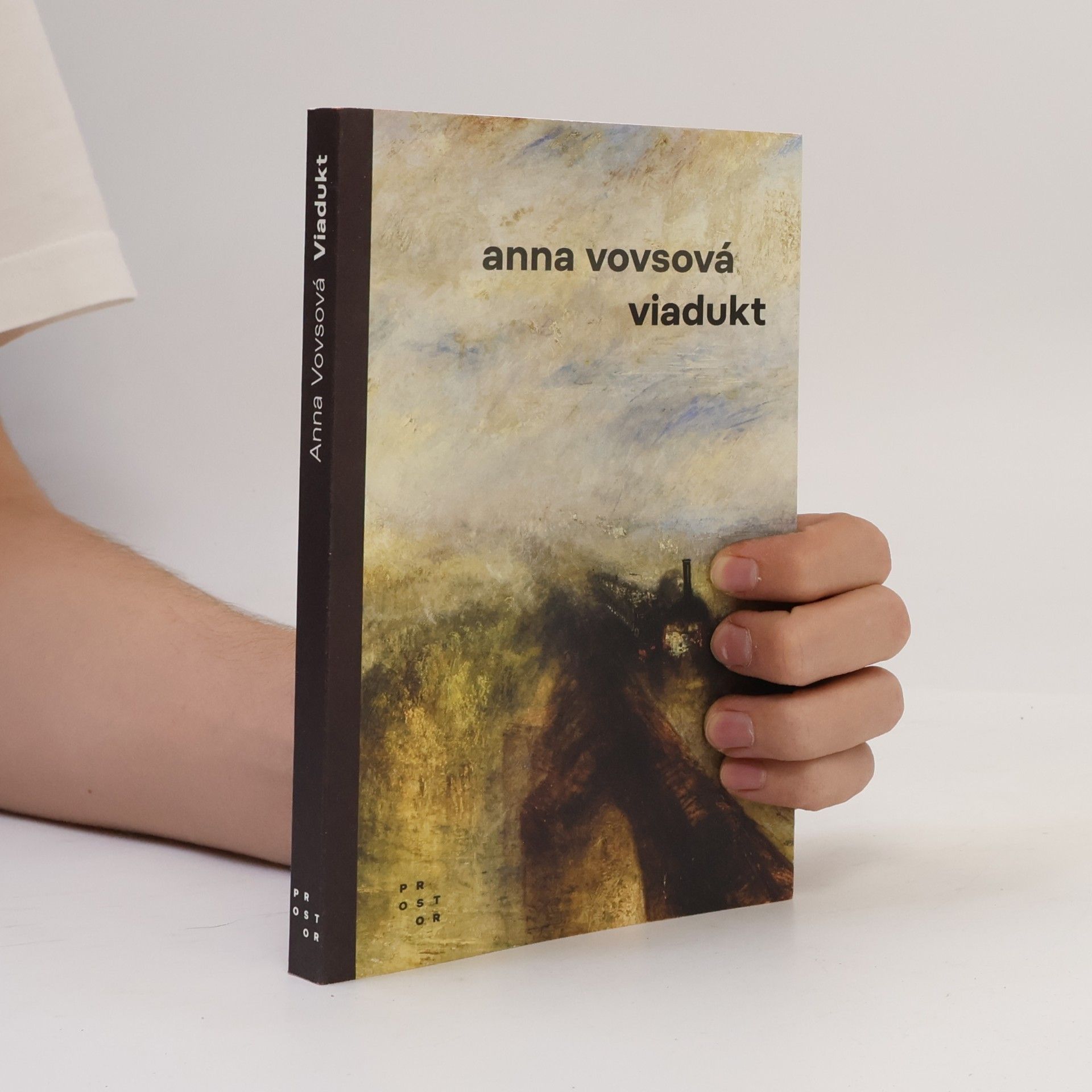 Anna Vovsová Viadukt