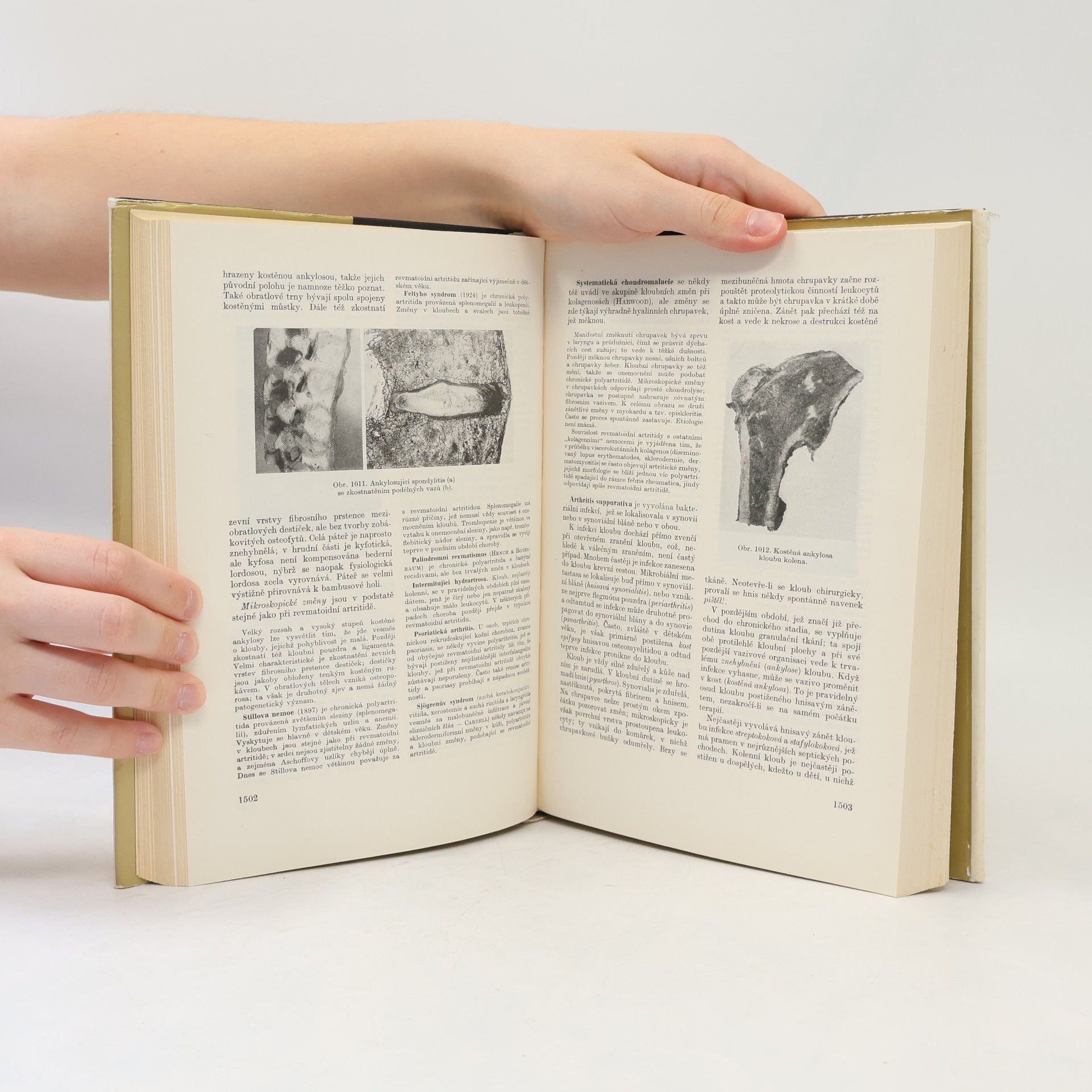 Autores varios Patologická anatomie II/2