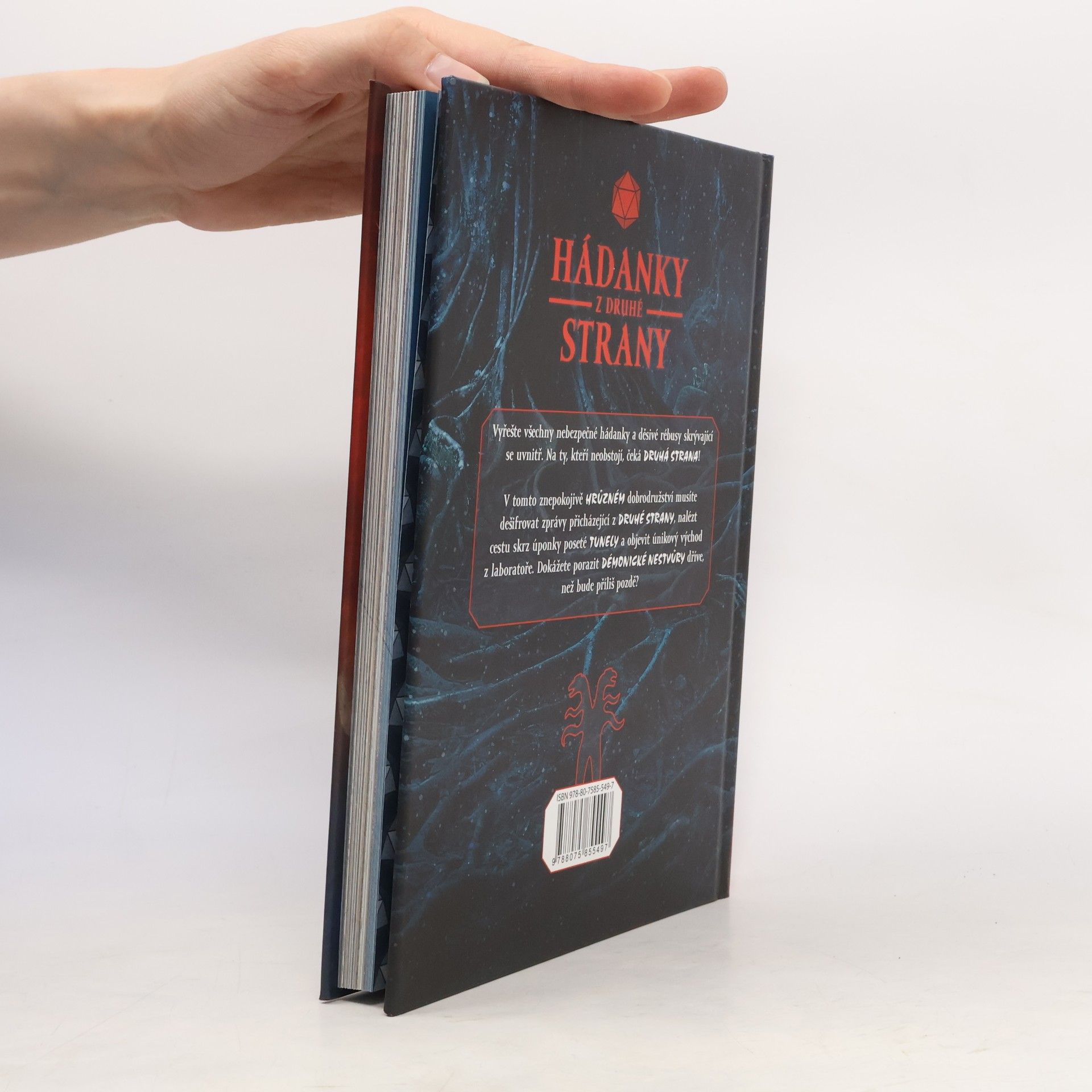 Jason Ward Hádanky z druhé strany. Děsivě návykové dobrodružství plné hlavolamů inspirované světem Stranger things