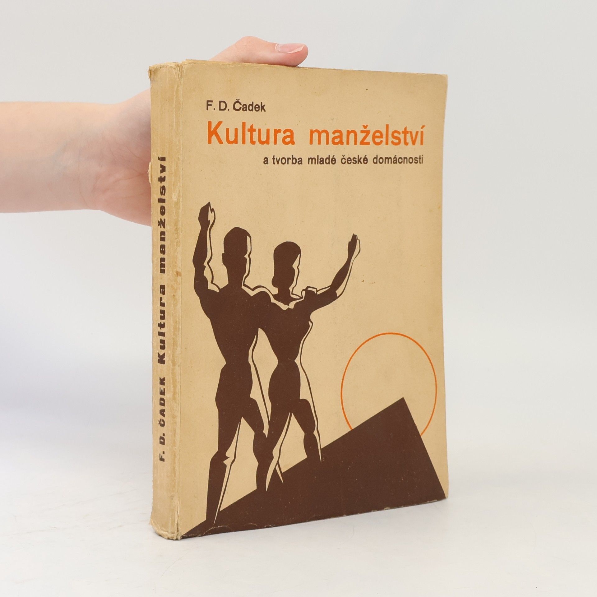 Kultura manželství a tvorba mladé české domácnosti