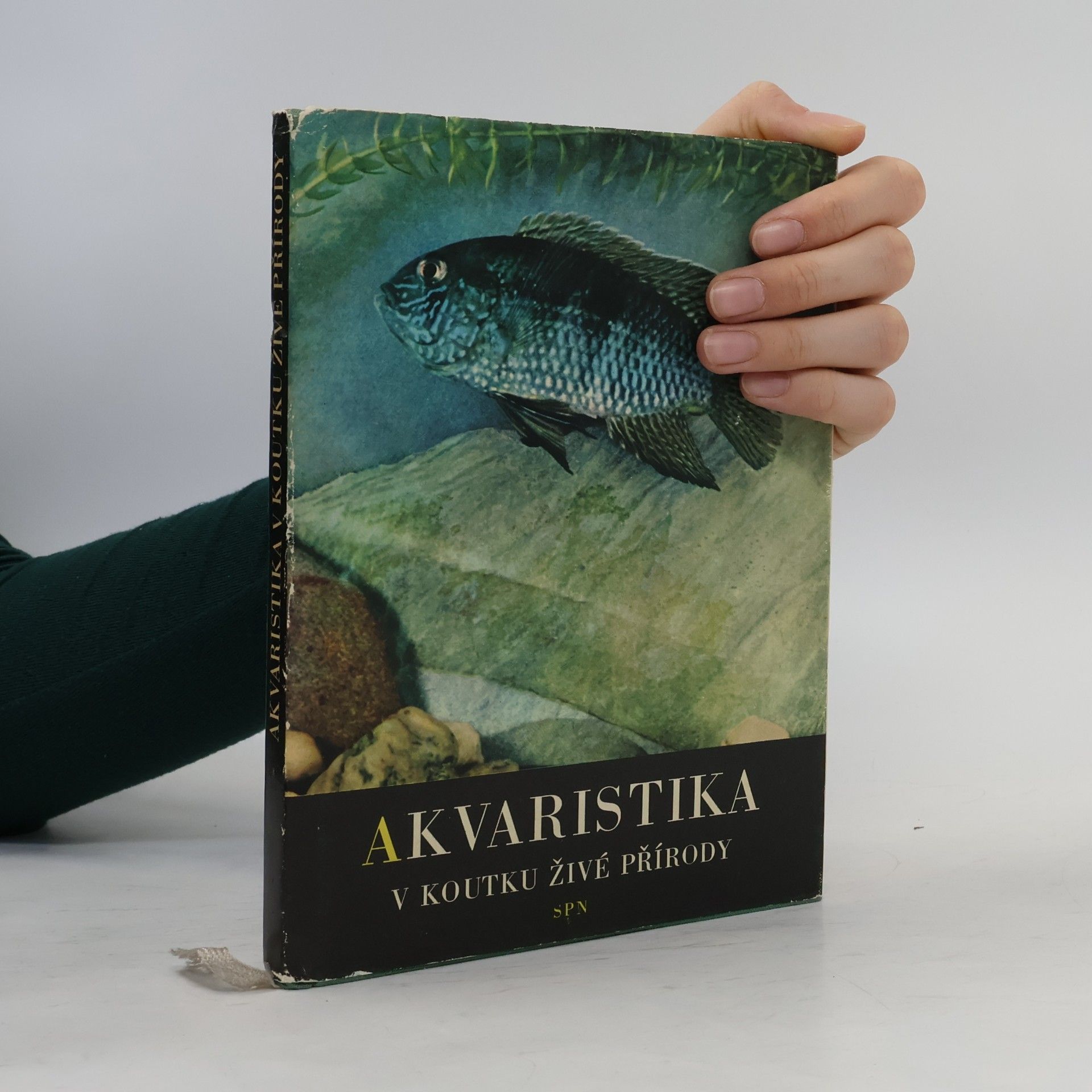 AA.VV. Akvaristika v koutku živé přírody