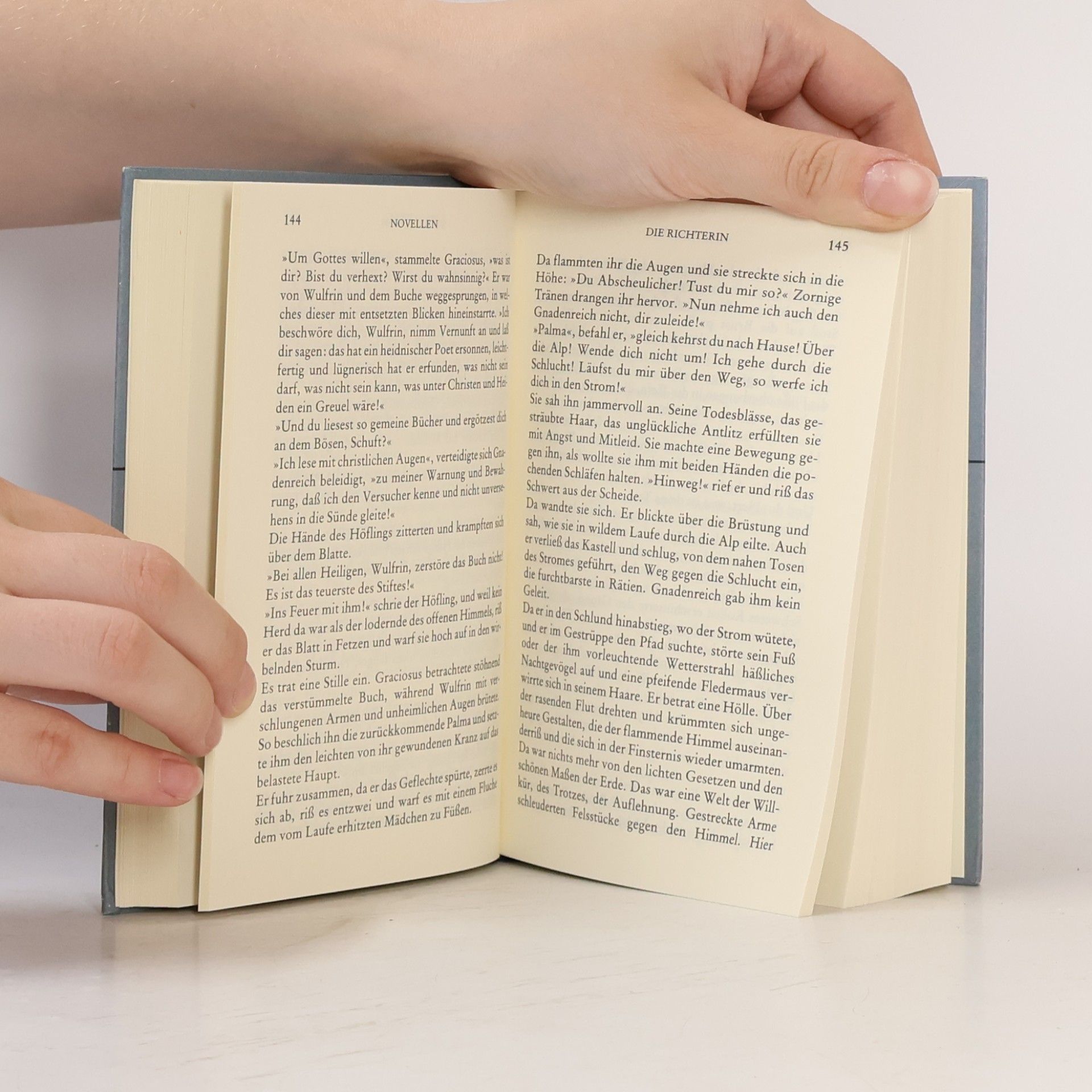 Conrad Ferdinand Meyer Gesammelte Werke Novellen