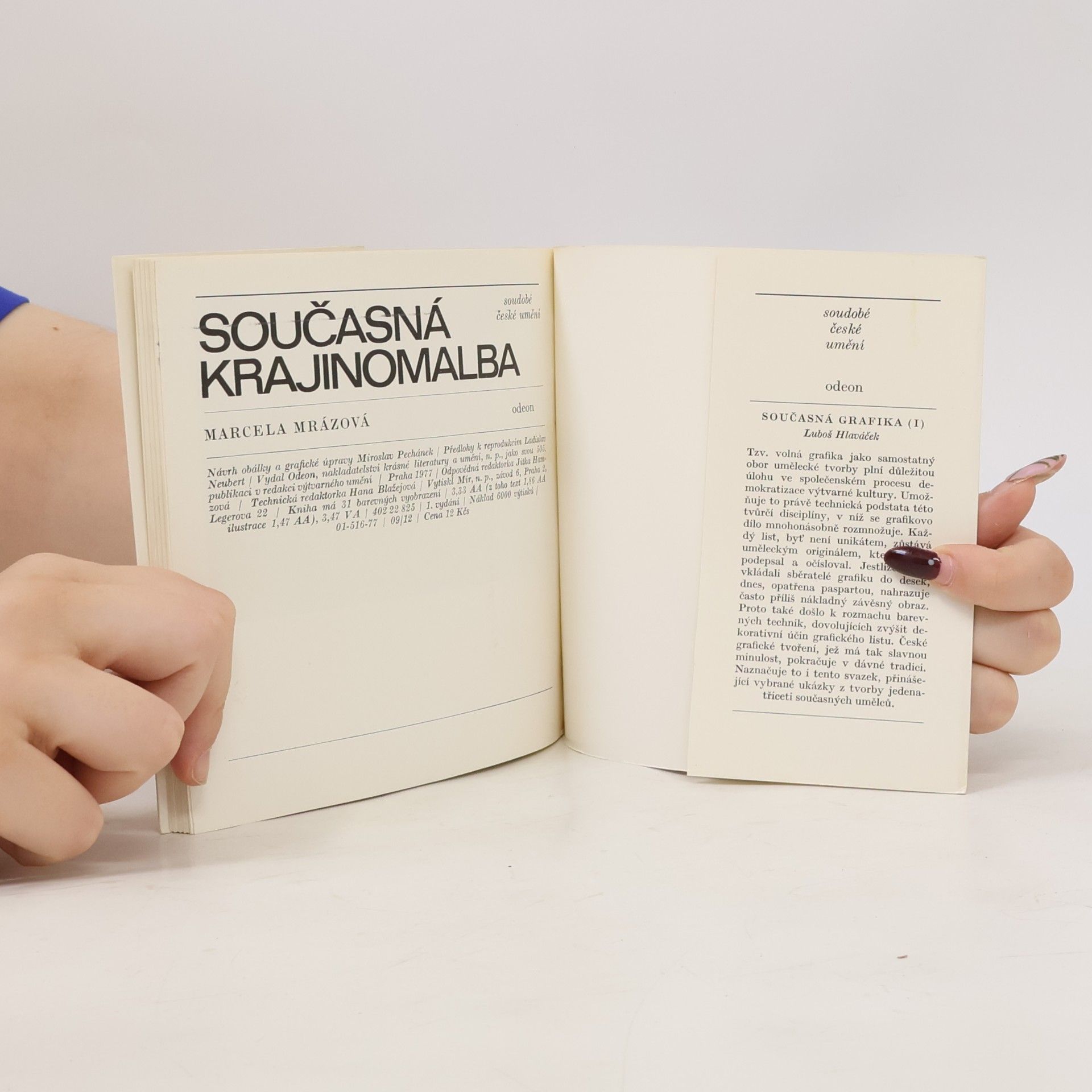 Marcela Mrázová Současná krajinomalba