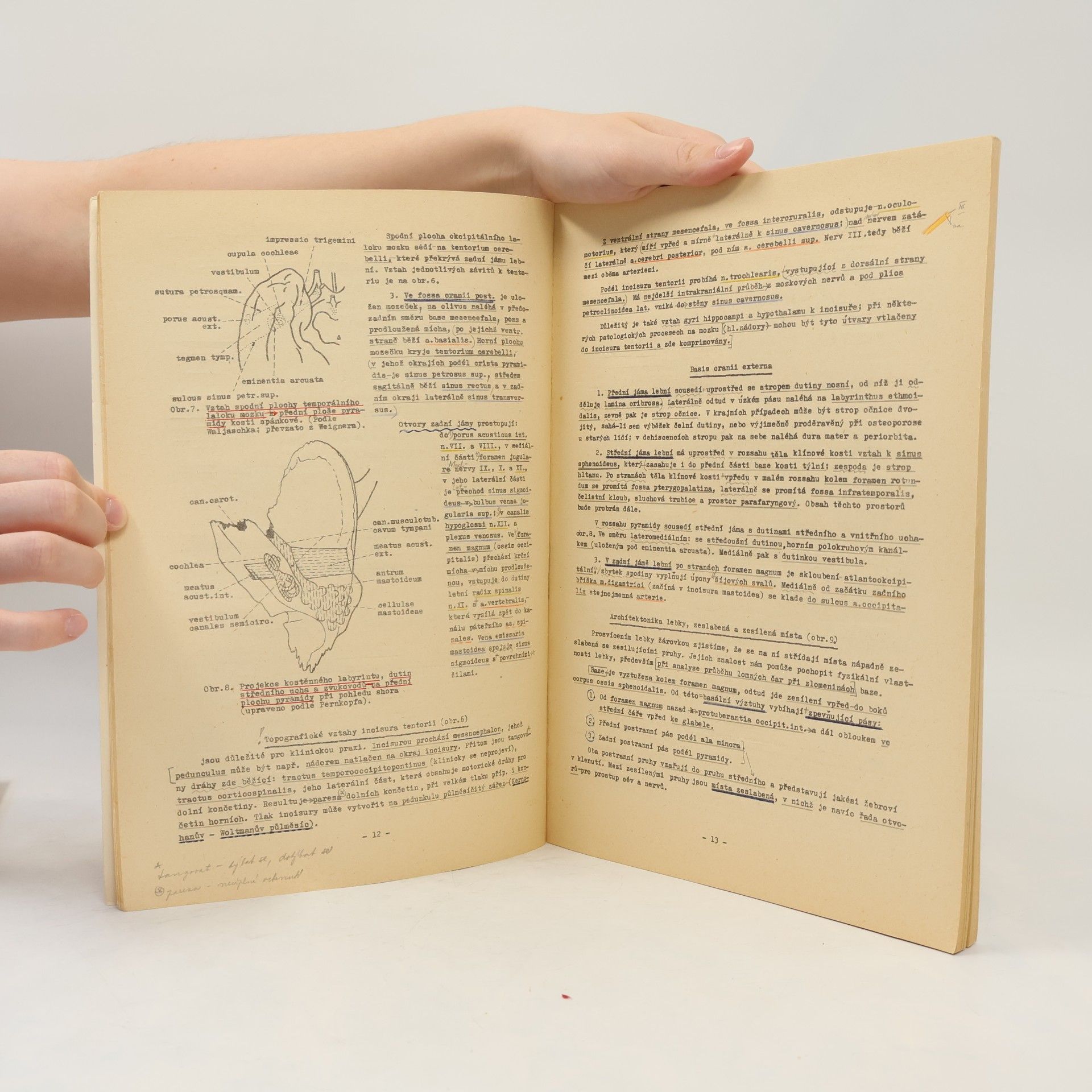 Autores varios Přehled topografické anatomie