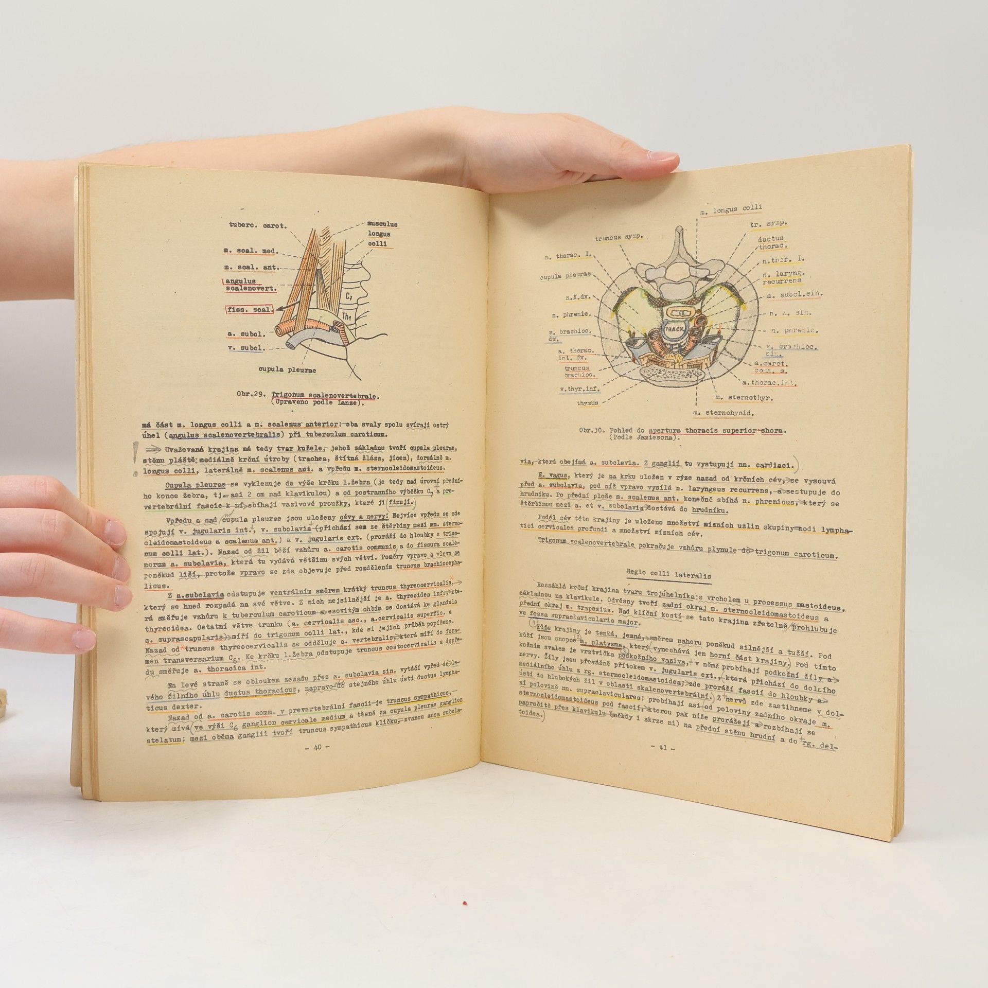 Autores varios Přehled topografické anatomie