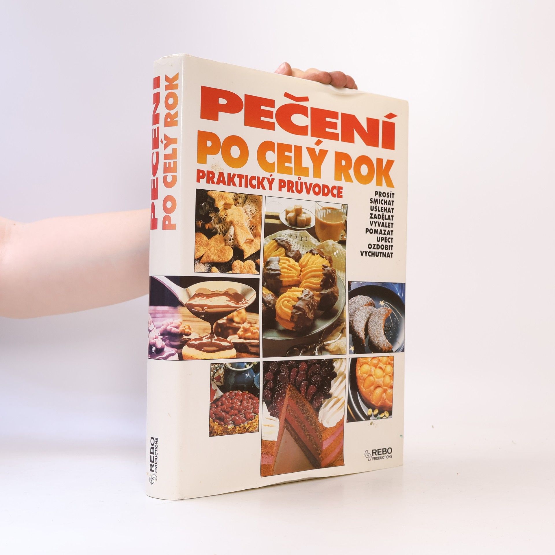 Hana Hejnalová Pečení po celý rok : praktický průvodce