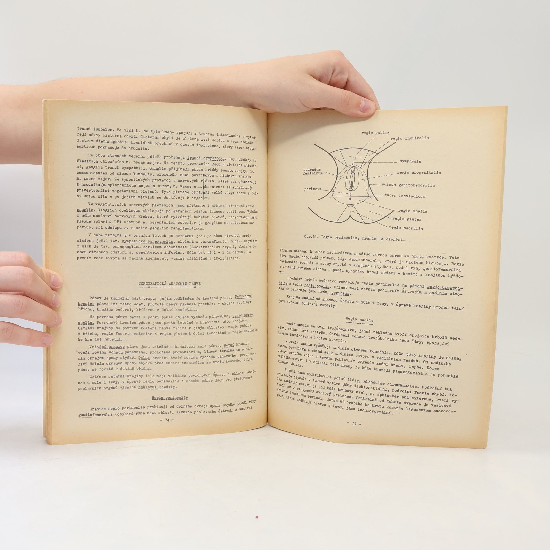 Jaroslav Kos Přehled topografické anatomie