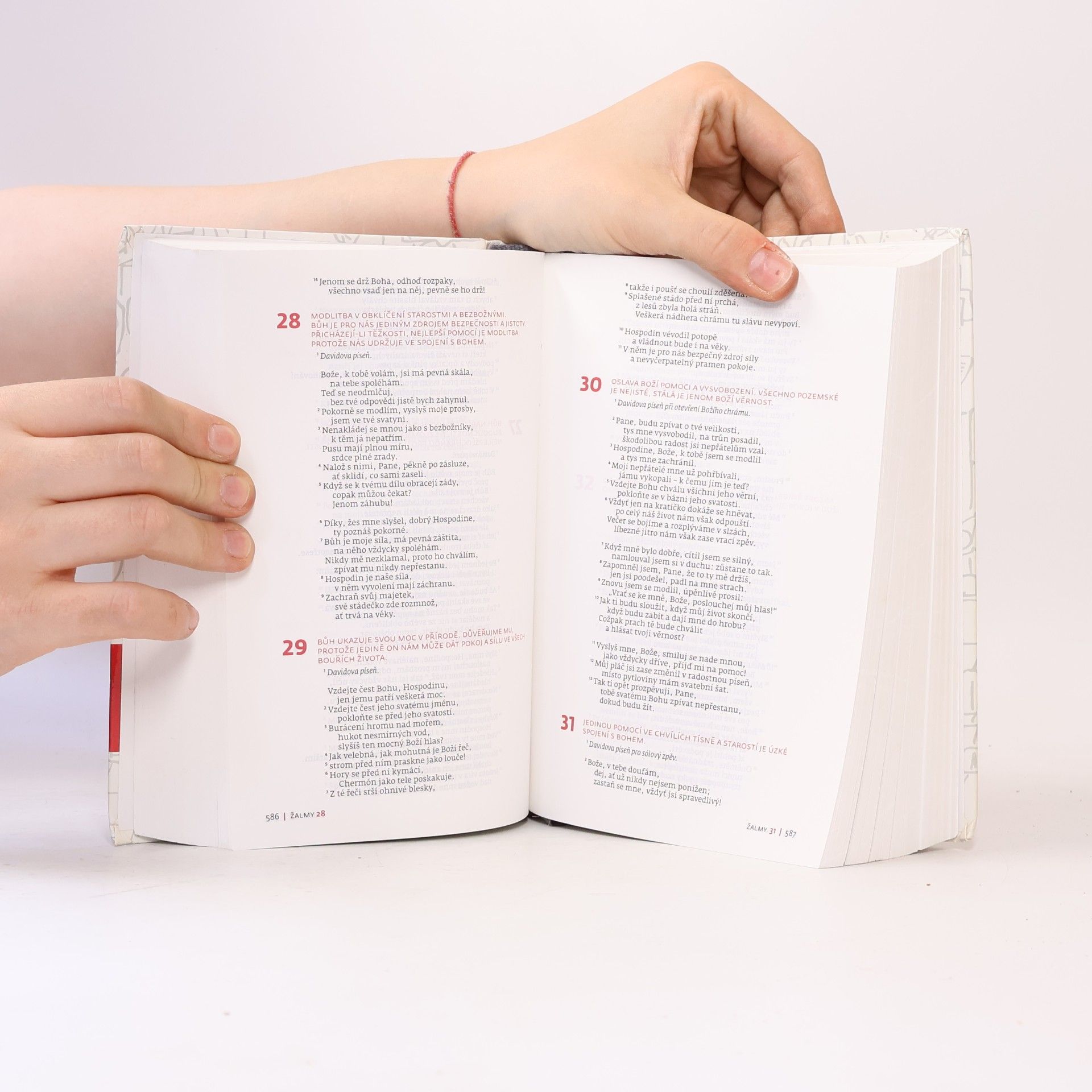 Autorenkollektiv Slovo na cestu : Bible s ilustracemi
