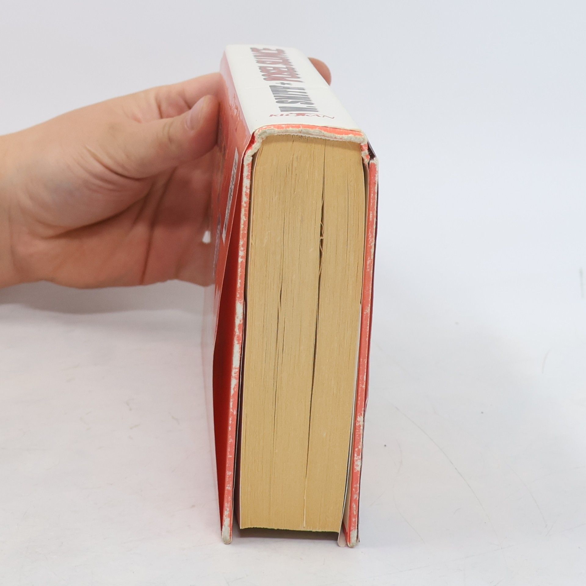 Wilbur Smith Posel slunce