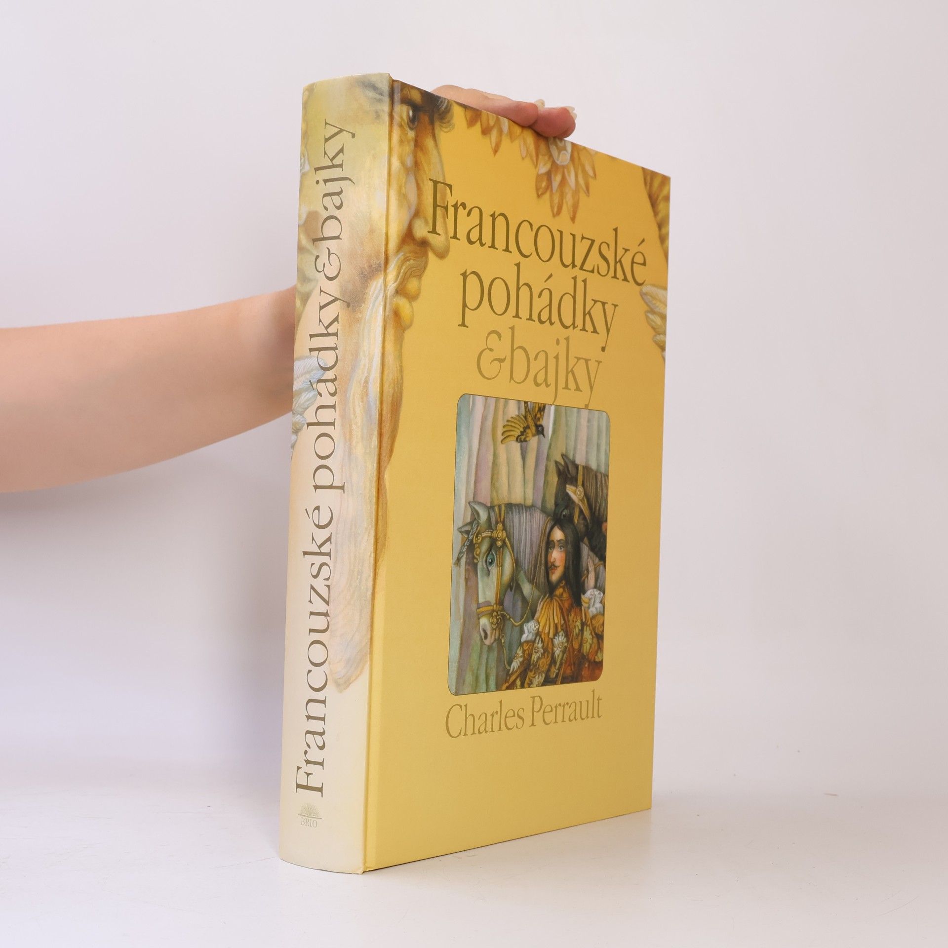 Autorenkollektiv Francouzské pohádky & bajky
