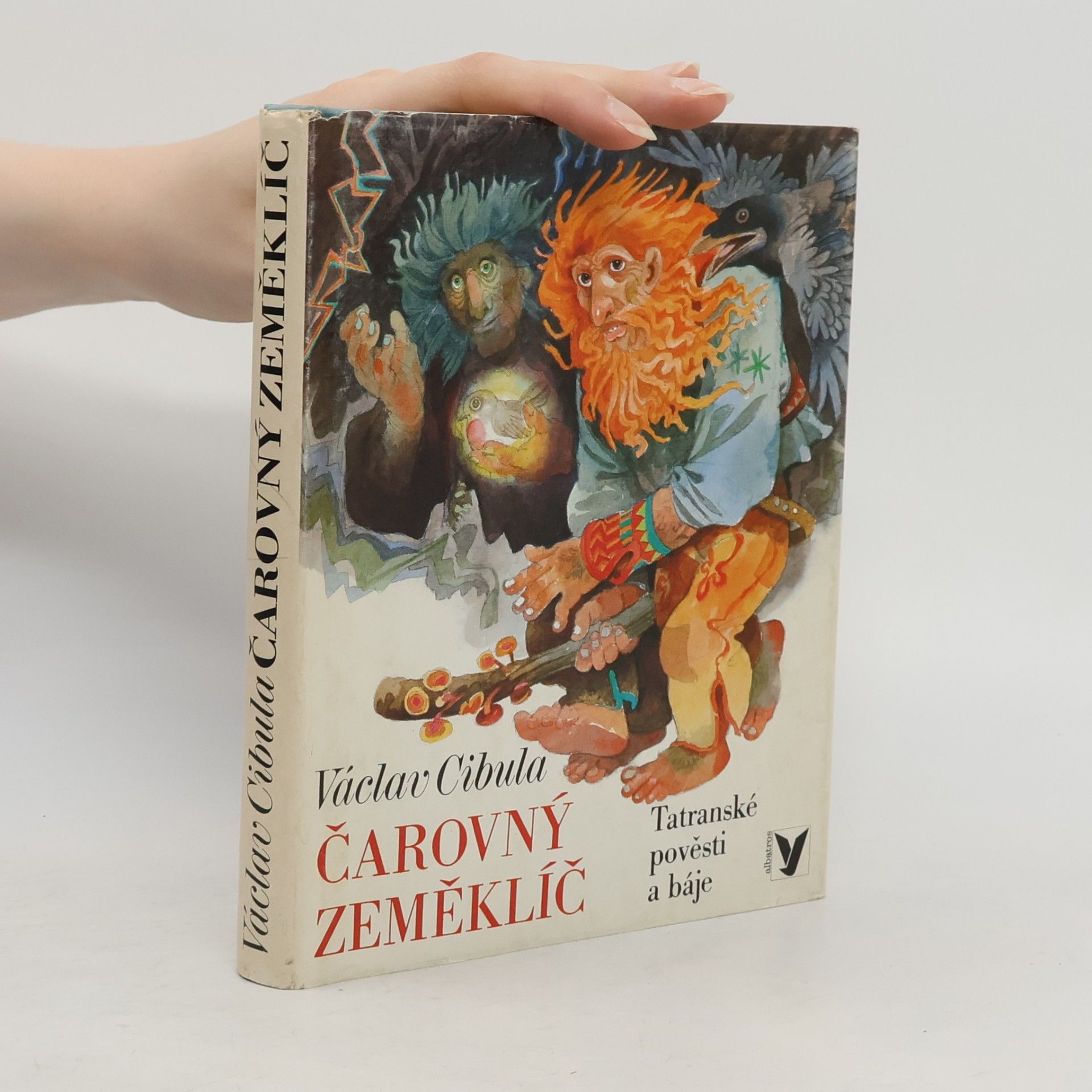 Václav Cibula Čarovný zeměklíč