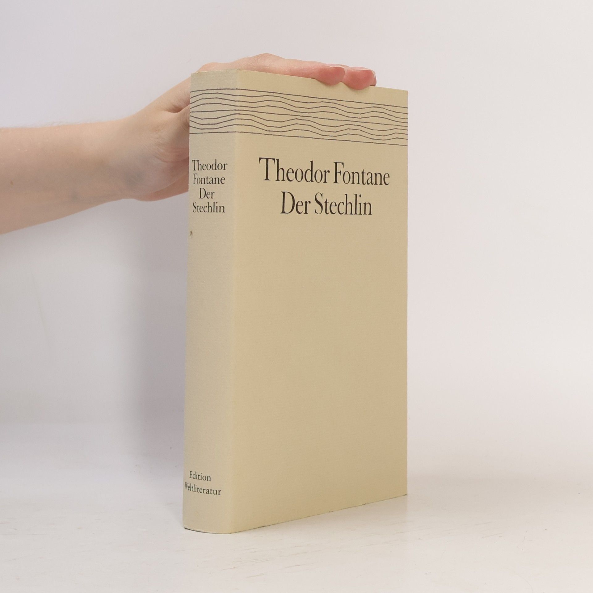 Theodor Fontane Der Stechlin