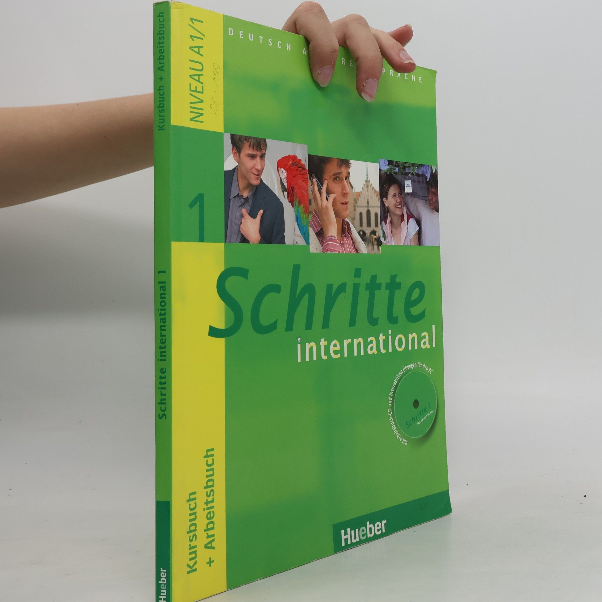 Daniela Niebisch Schritte international 1