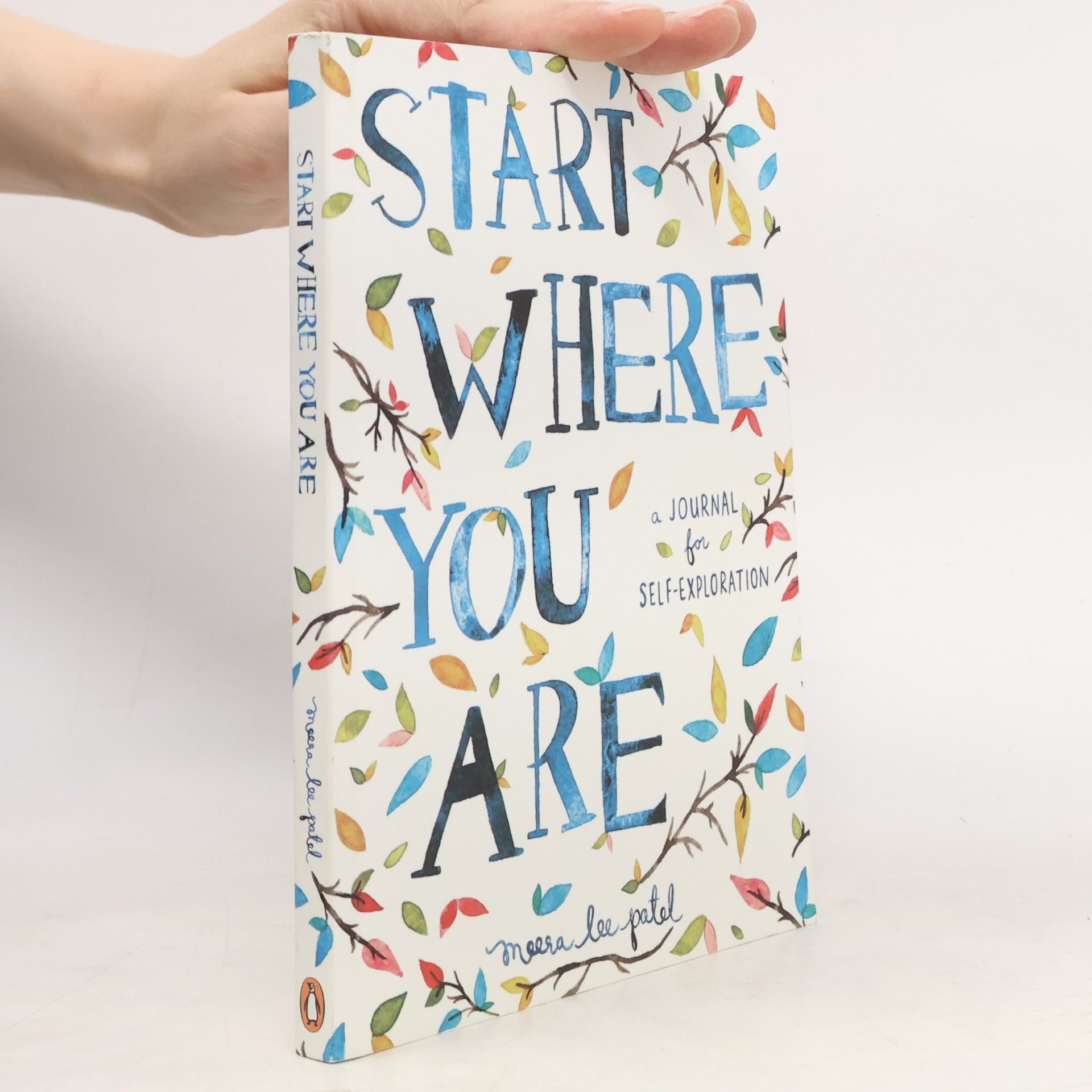 Meera Lee Patel Start Where You Are