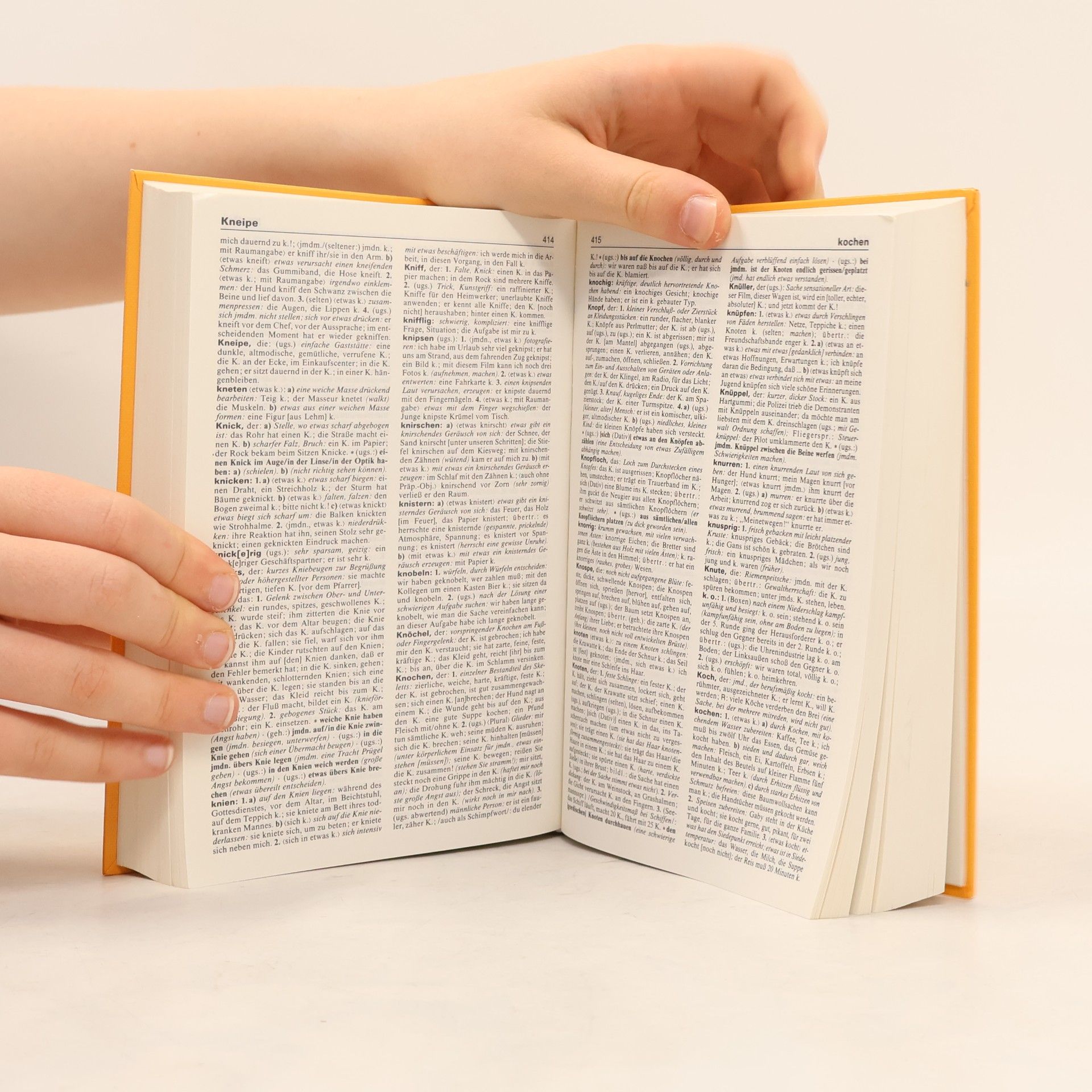 Dudenredaktion (Bibliographisches Institut) Duden 2. Das Stilwörterbuch