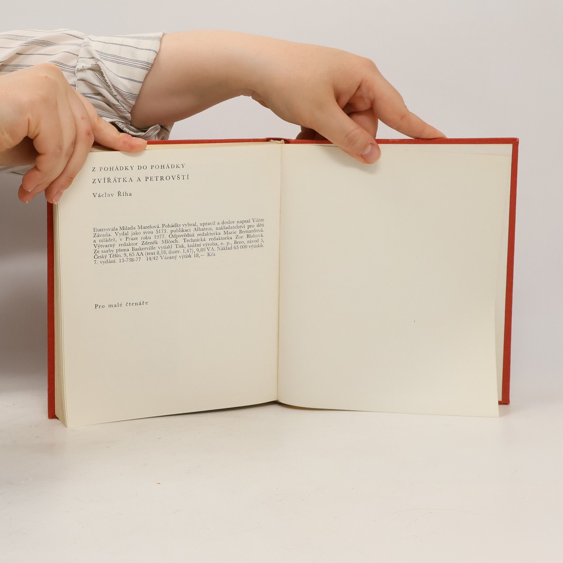 Václav Tille Zvířátka a Petrovští