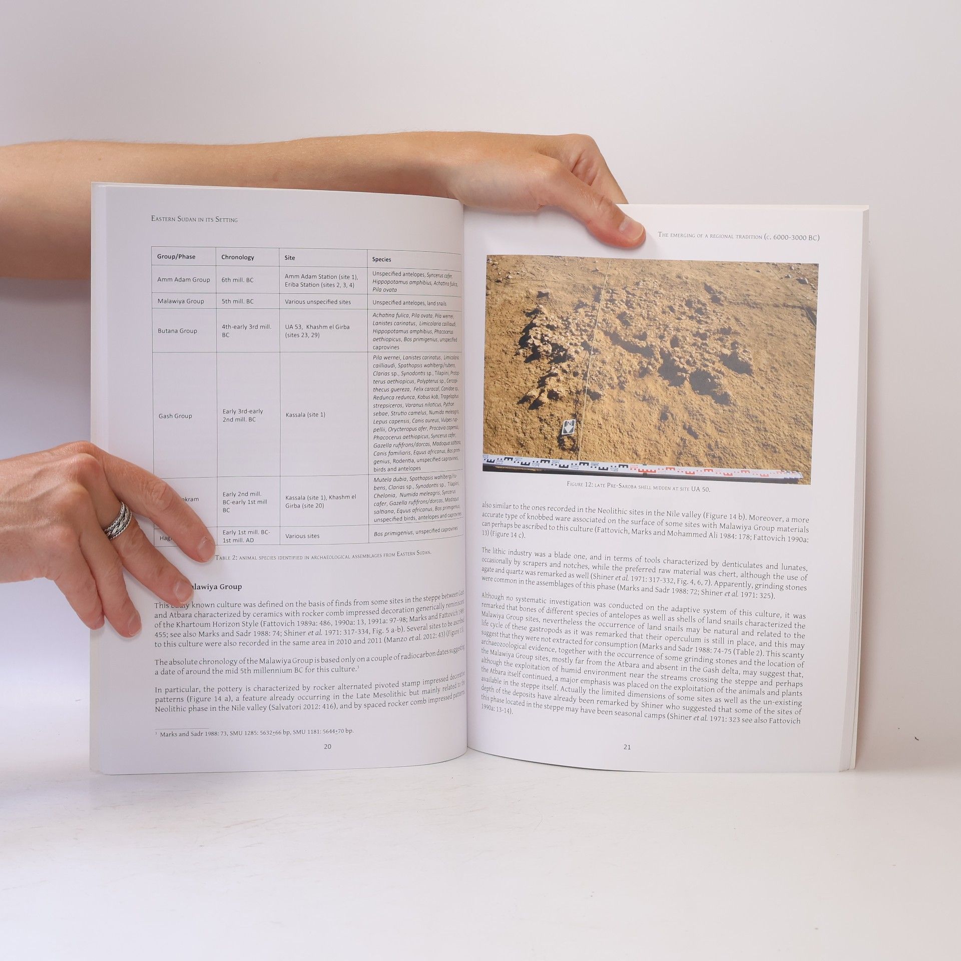 Andrea Manzo Eastern Sudan and its setting. The archaeology of a region far from the Nile Valley