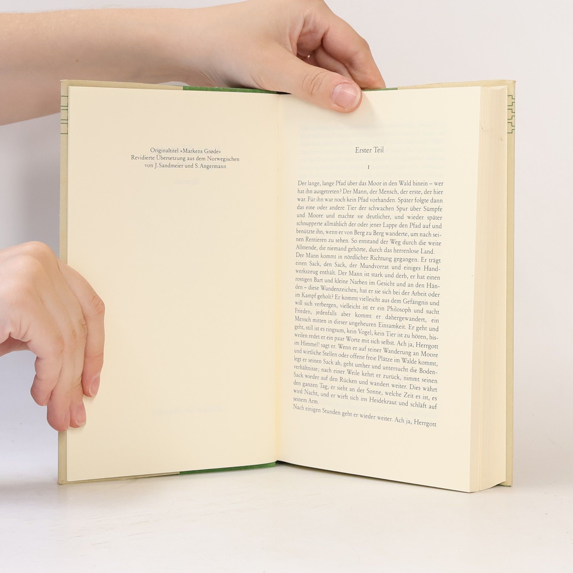 Knut Hamsun Segen der Erde
