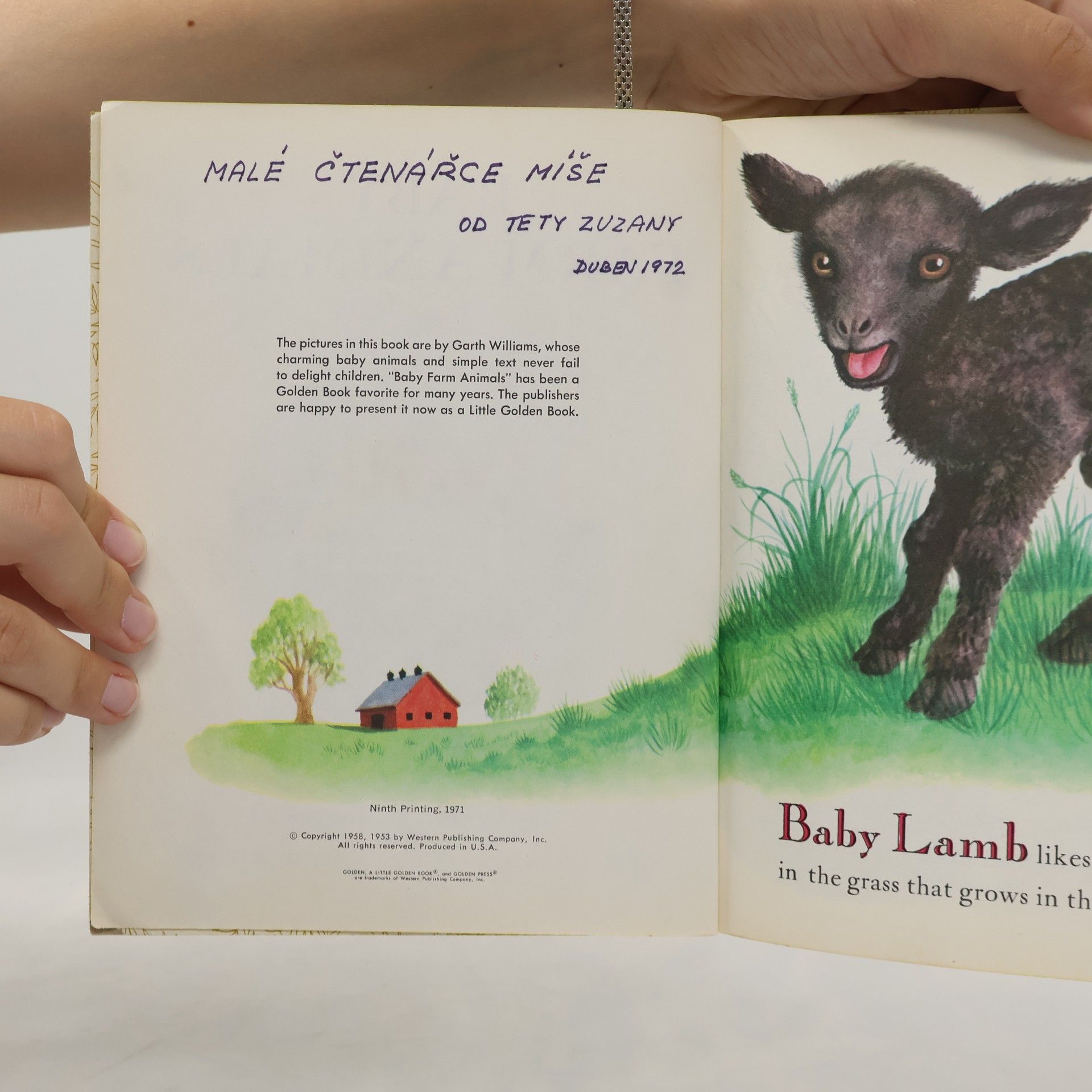 Autorenkollektiv Baby Farm Animals
