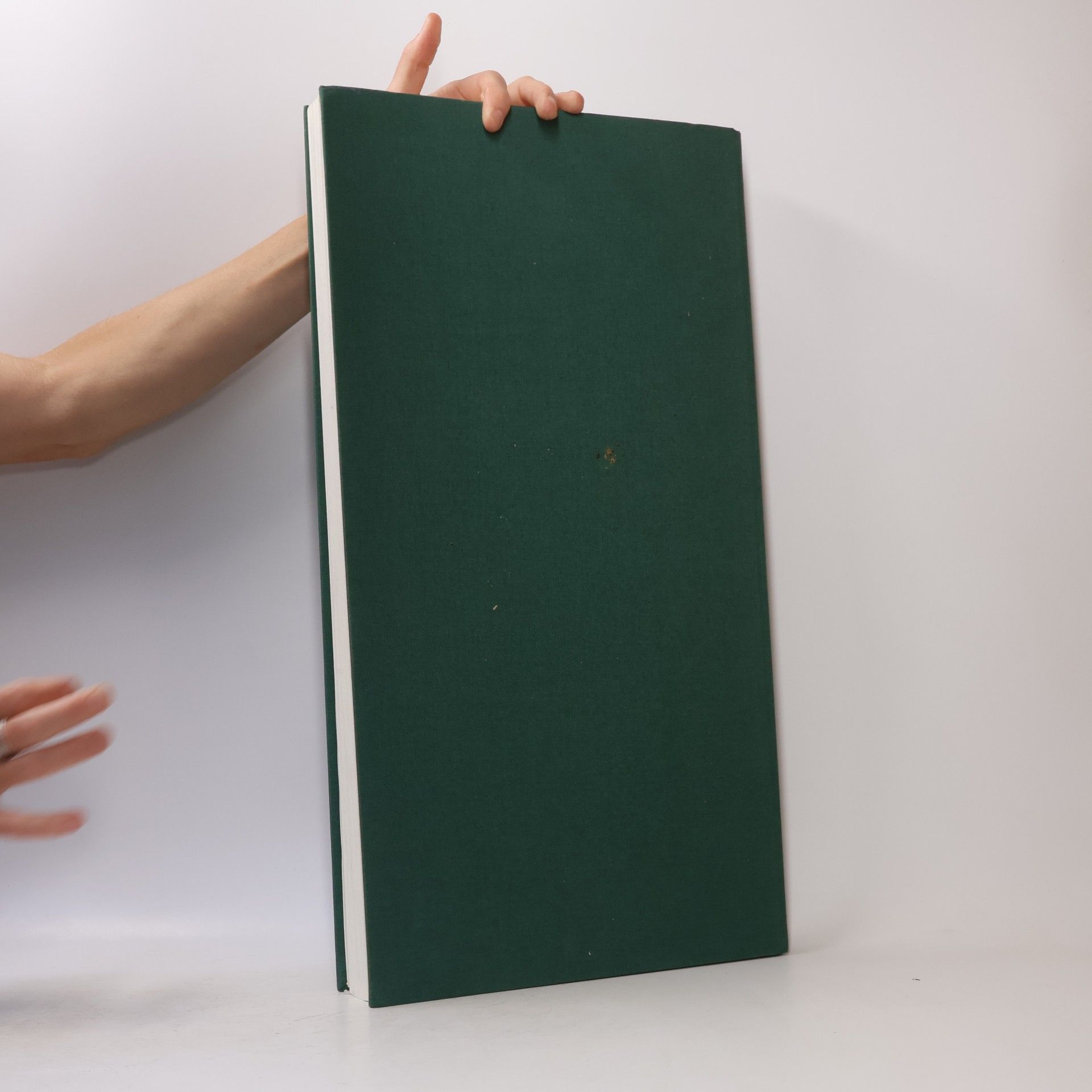 Siegfried Mittmann Tübinger Bibelatlas