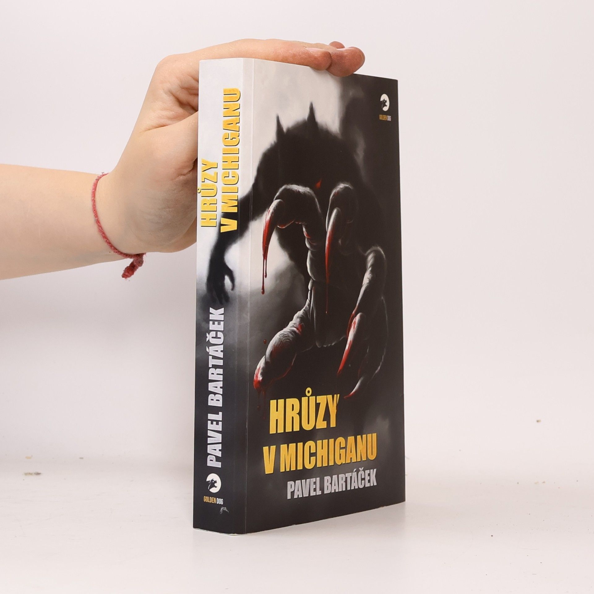 Pavel Bartáček Hrůzy v Michiganu