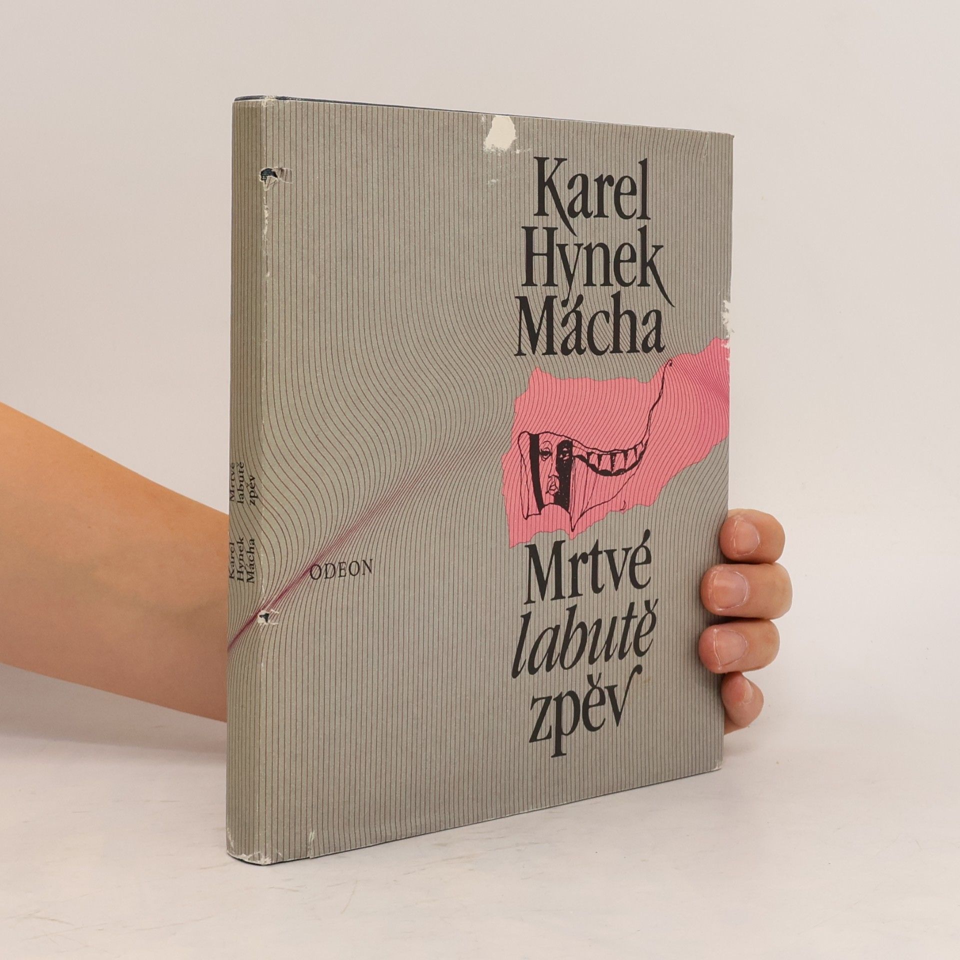 Karel Hynek Mácha Mrtvé labutě zpěv