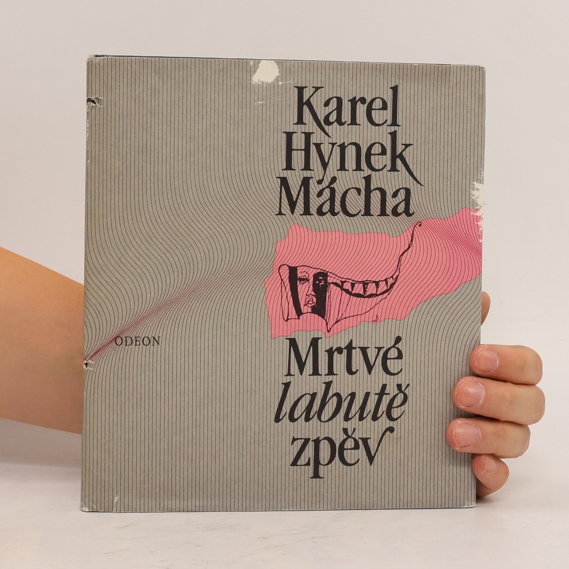 Karel Hynek Mácha Mrtvé labutě zpěv